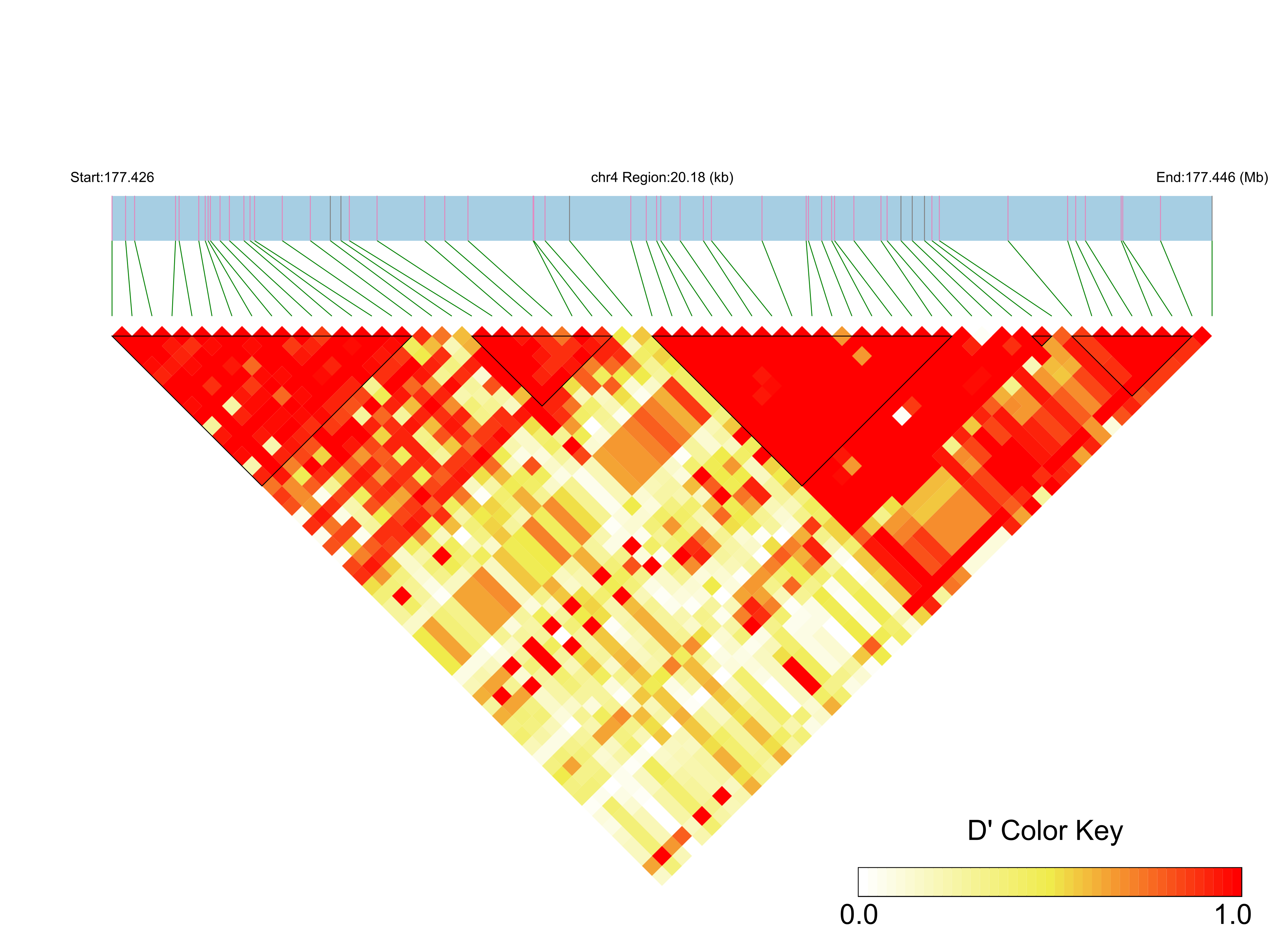 LD