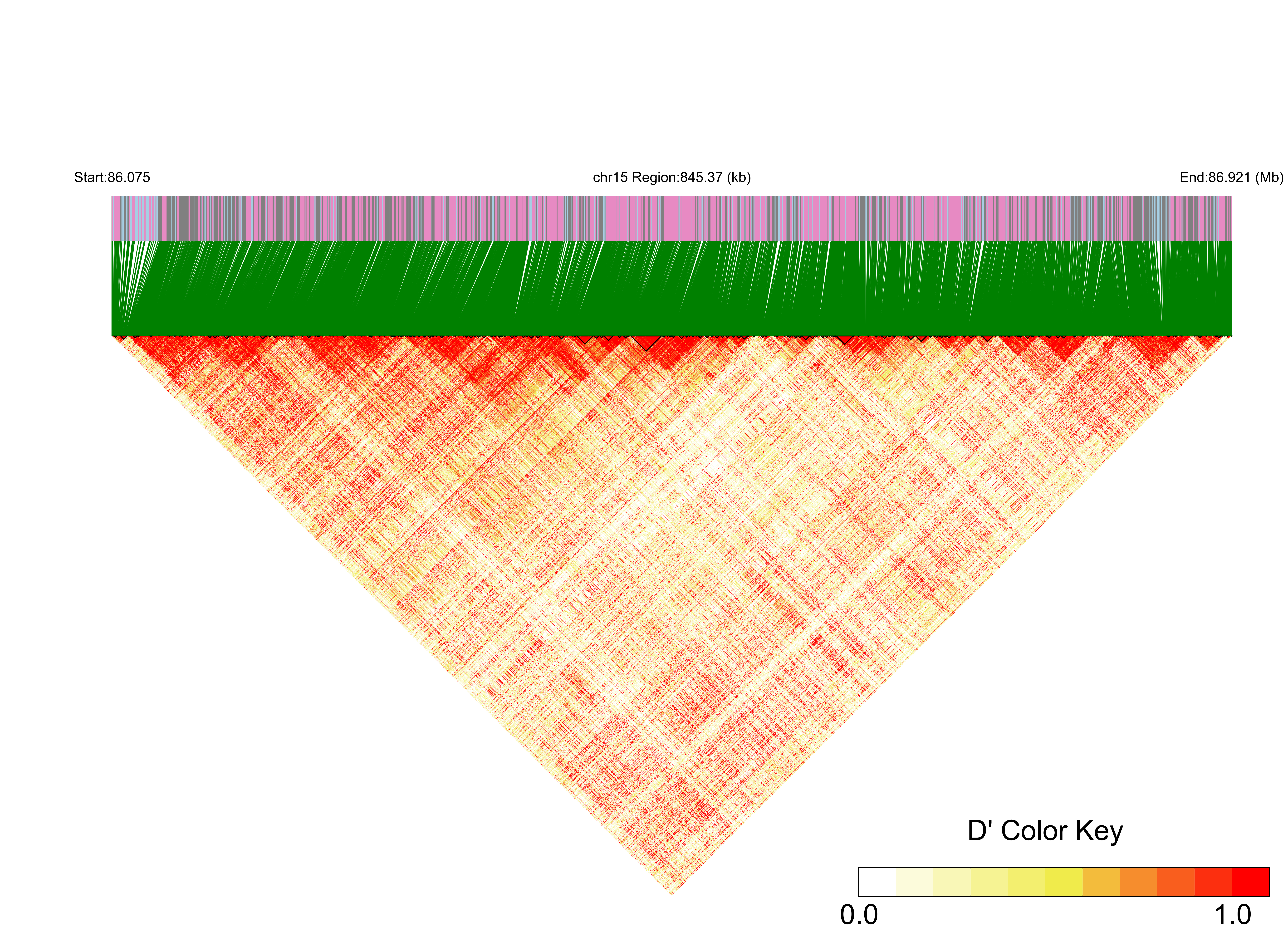 LD