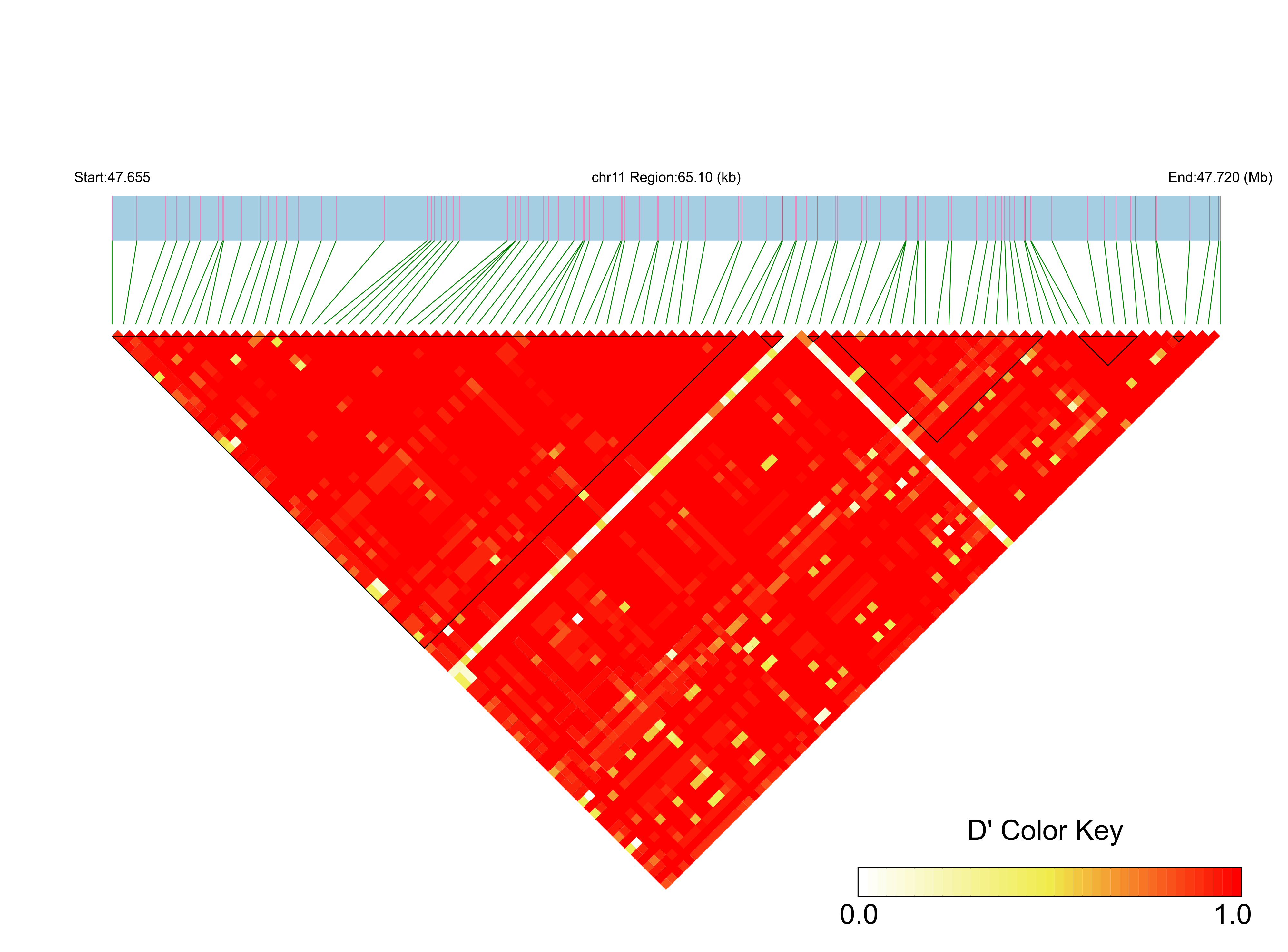 LD
