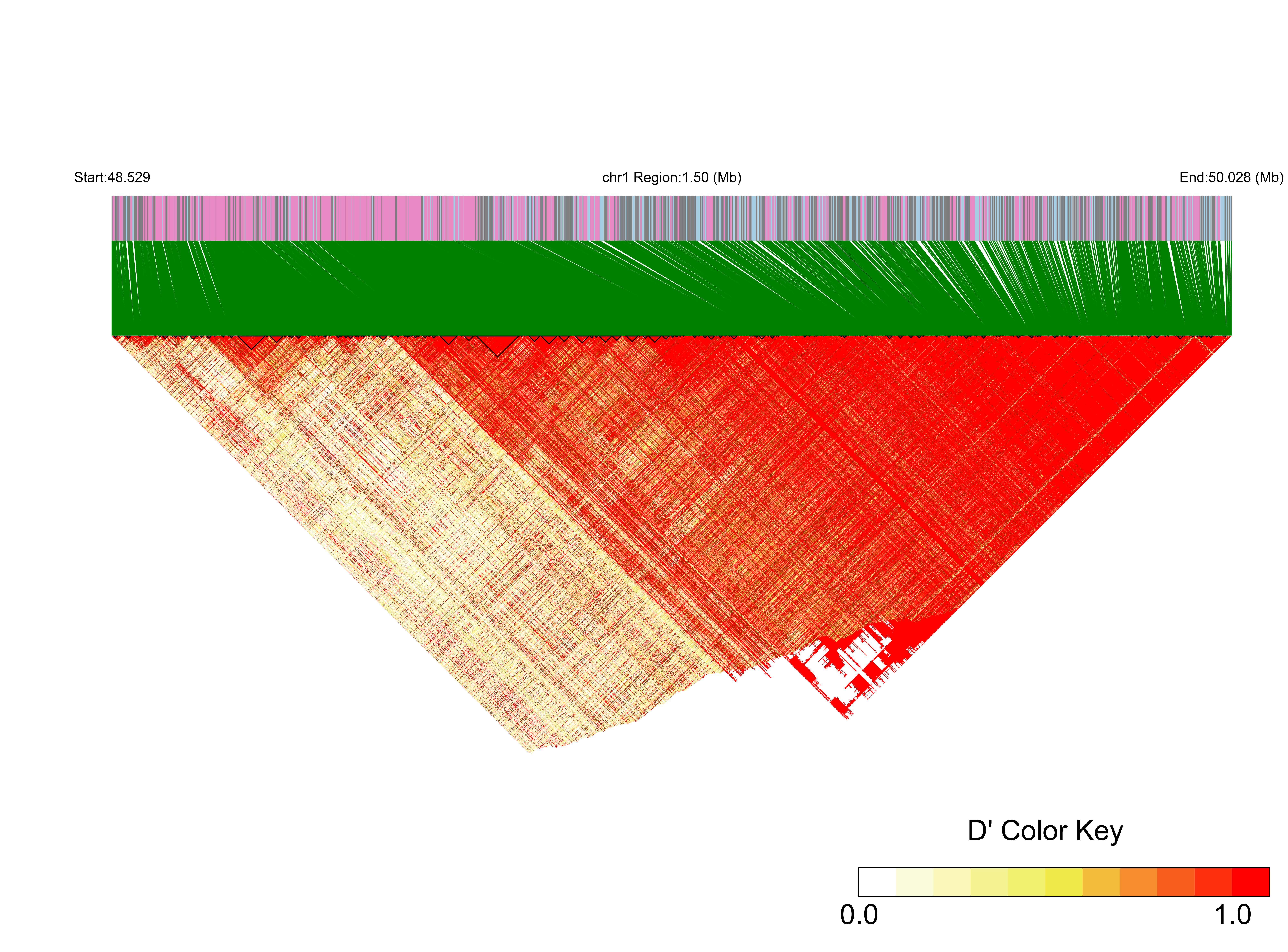 LD