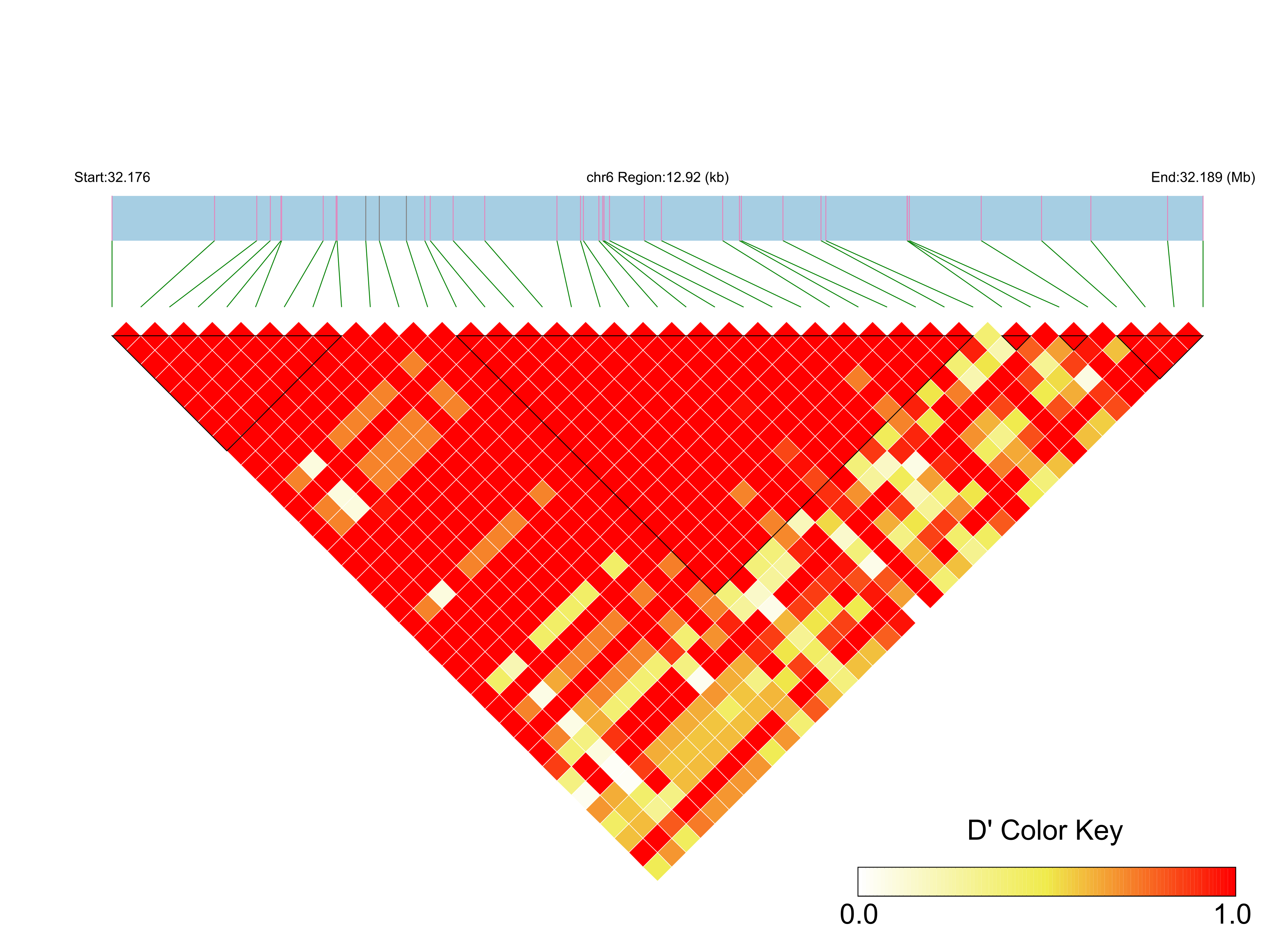 LD