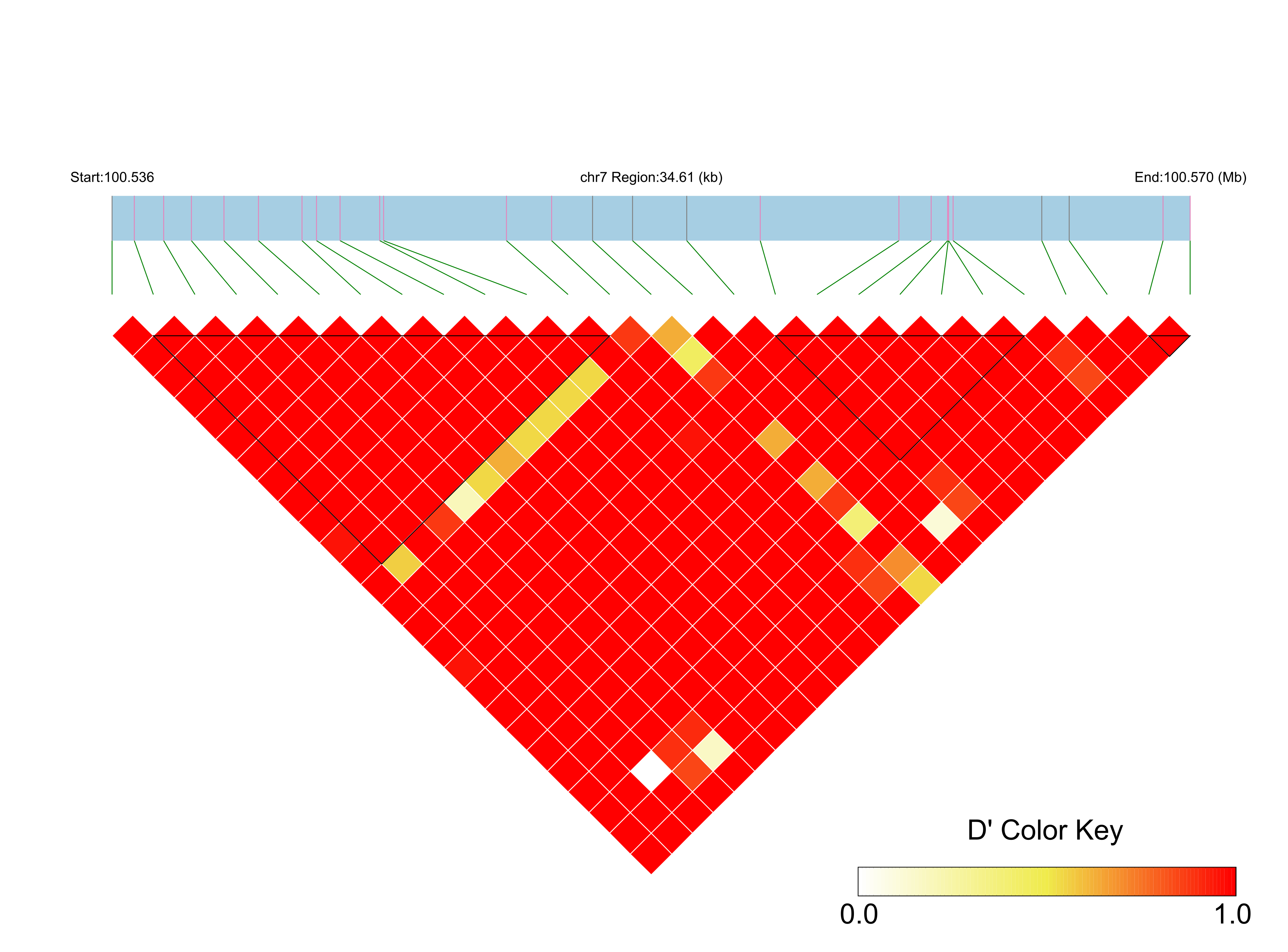 LD
