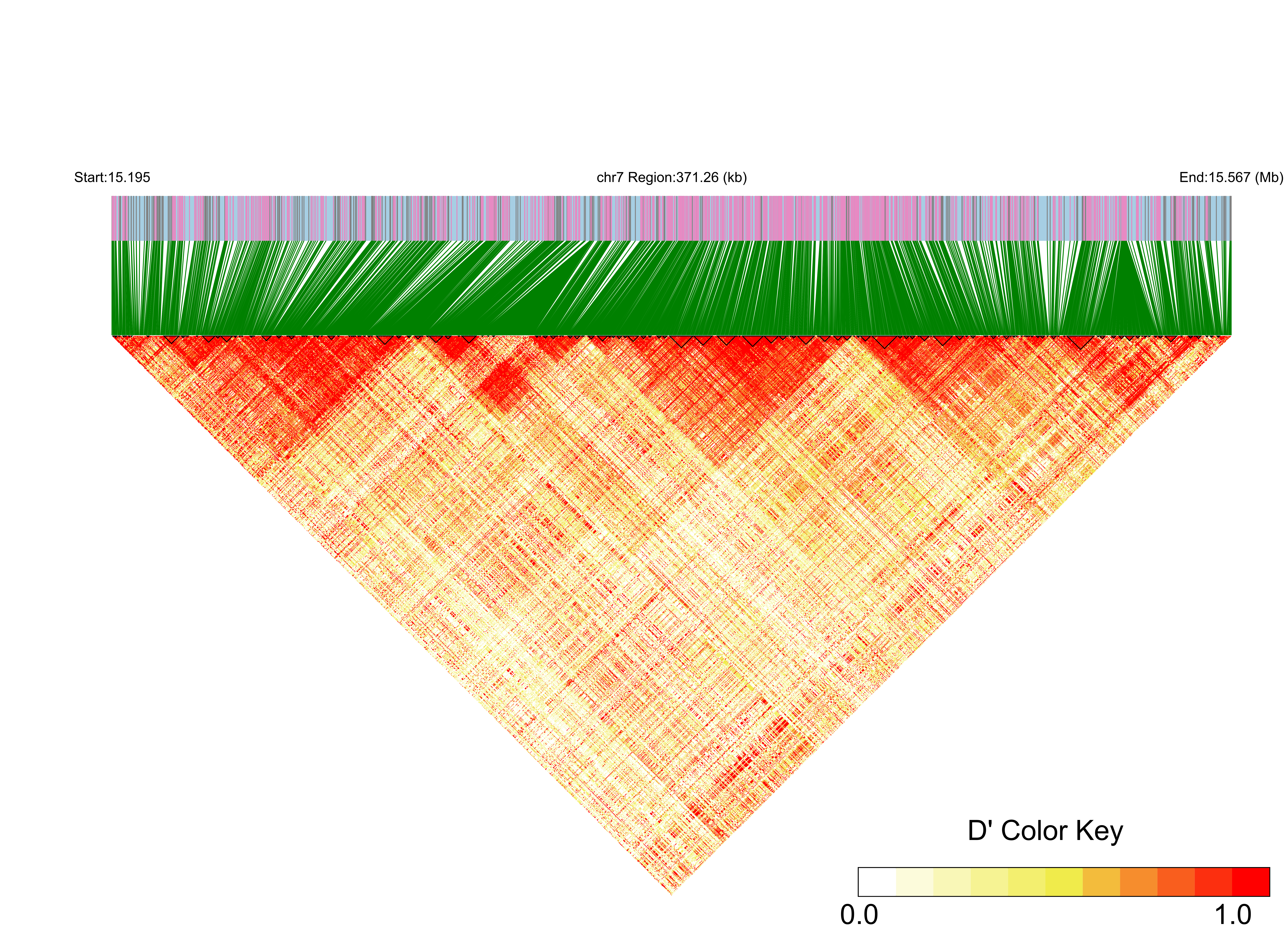 LD