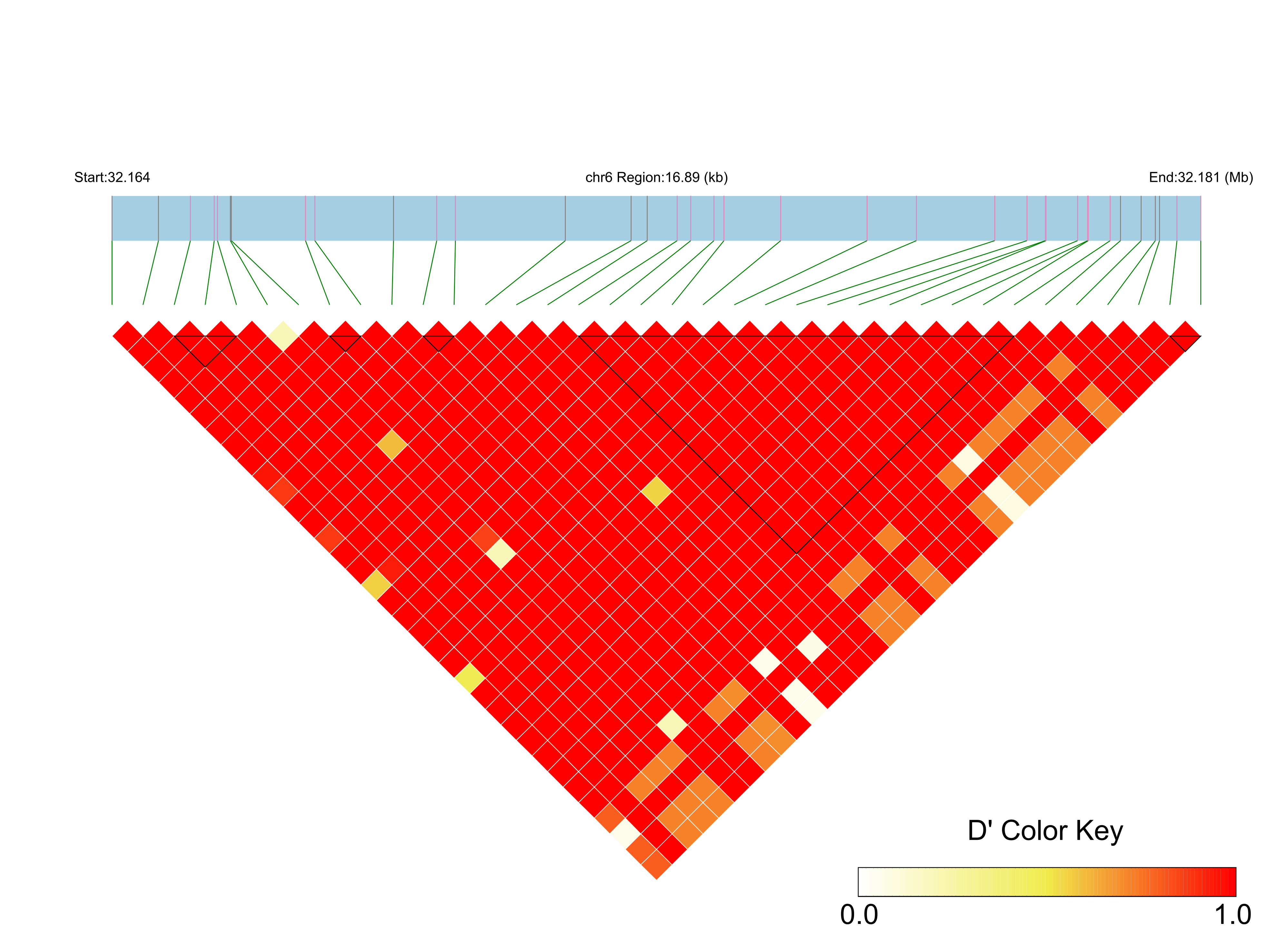 LD