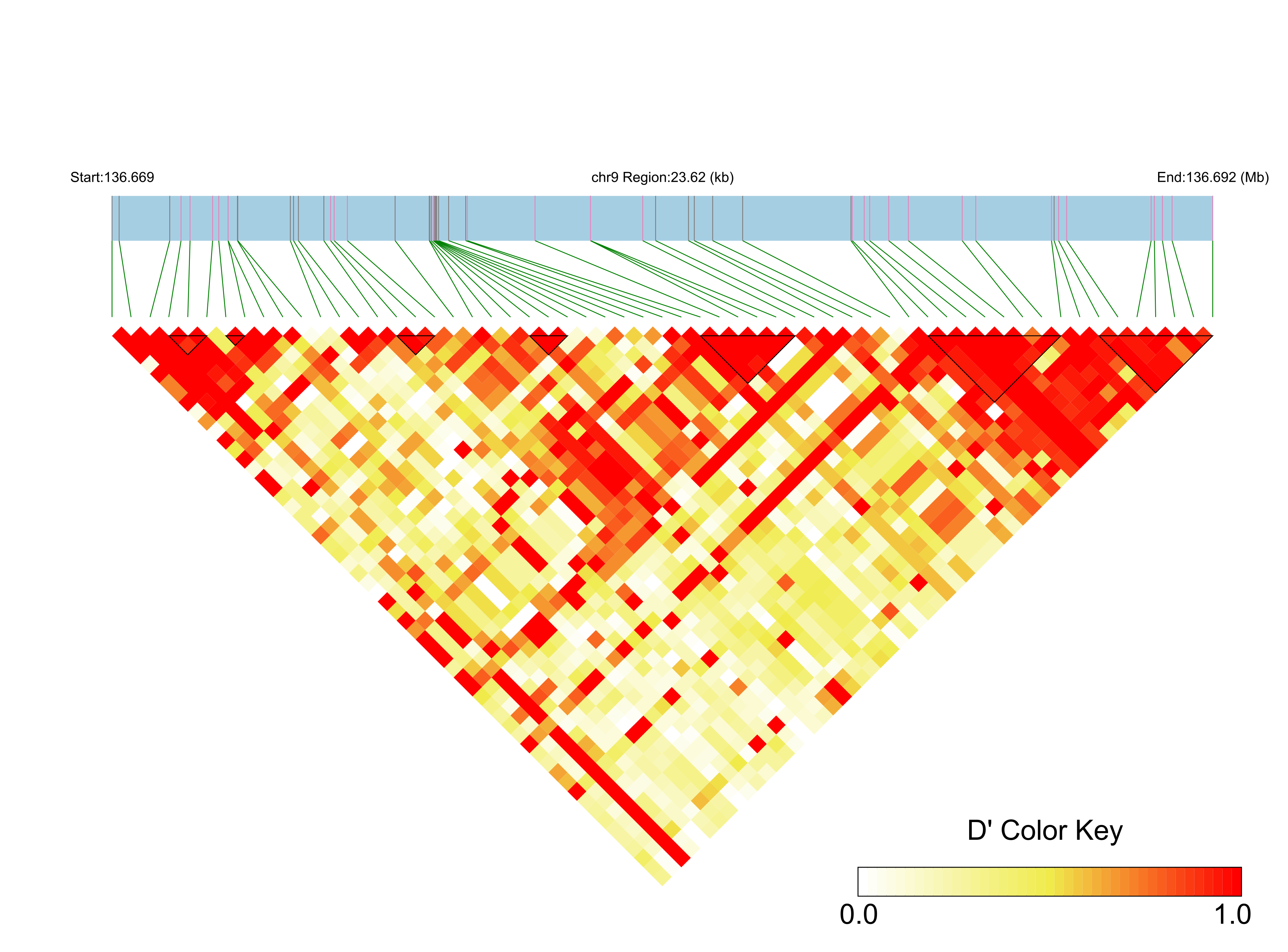 LD