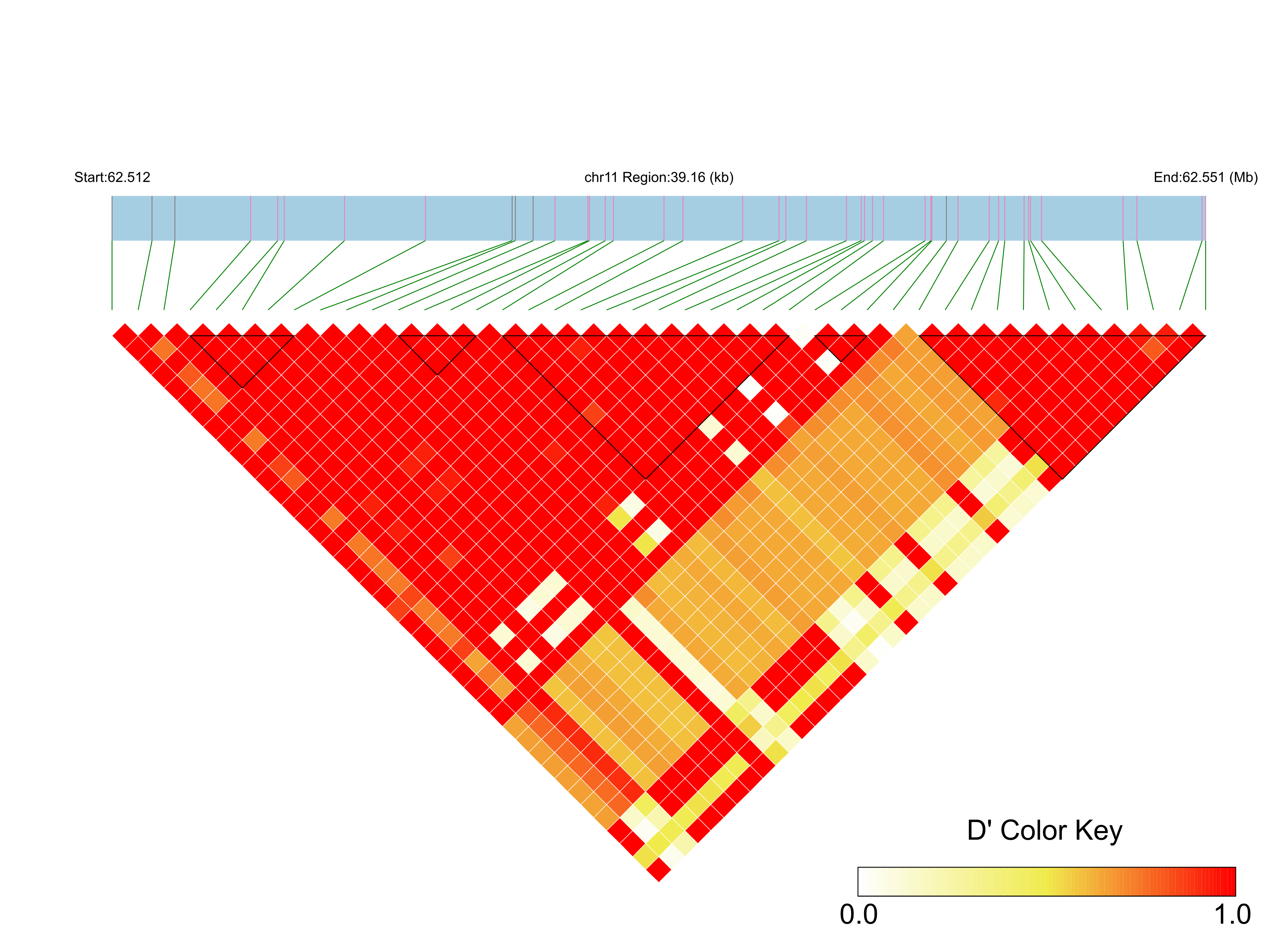 LD