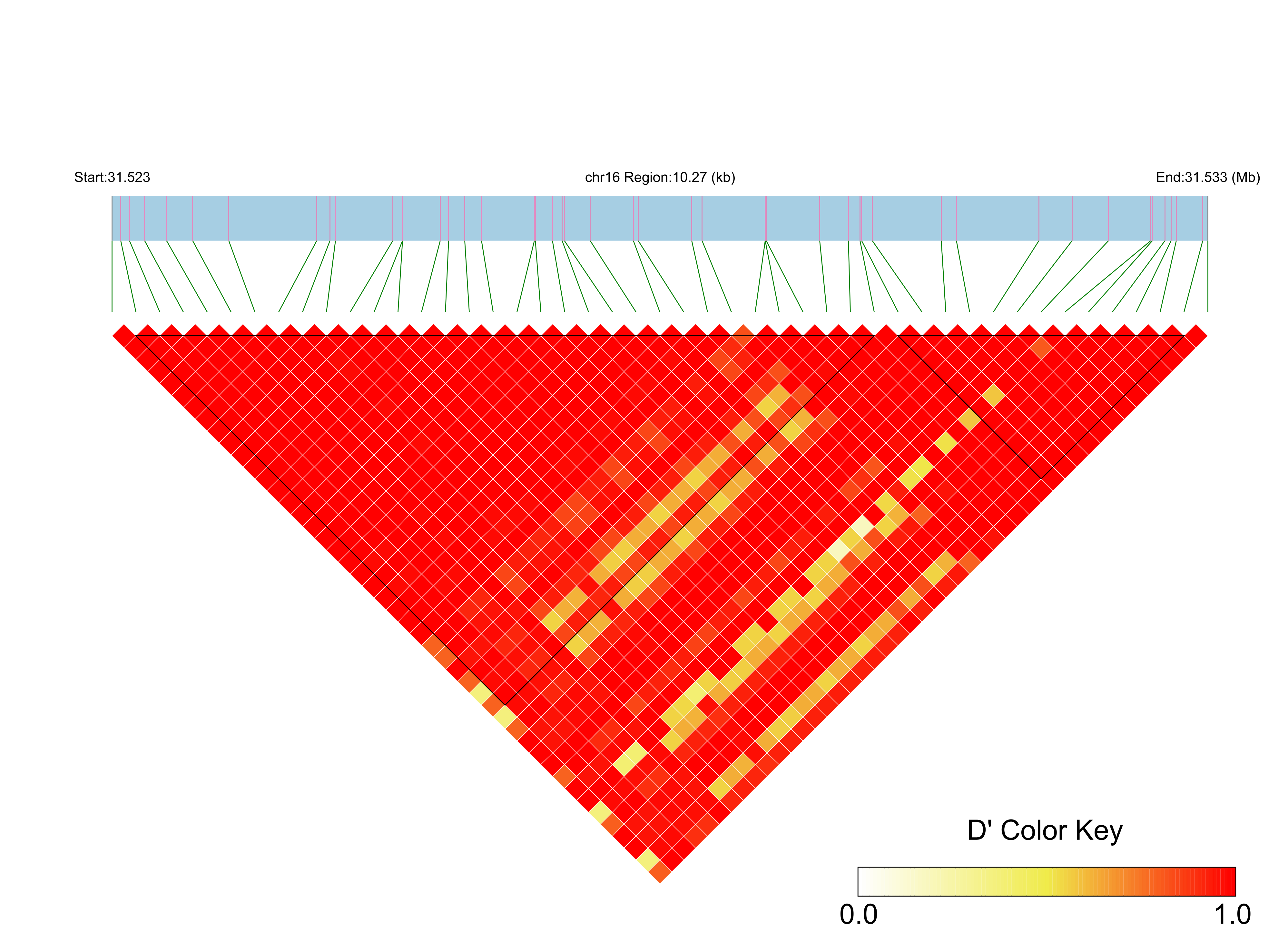 LD