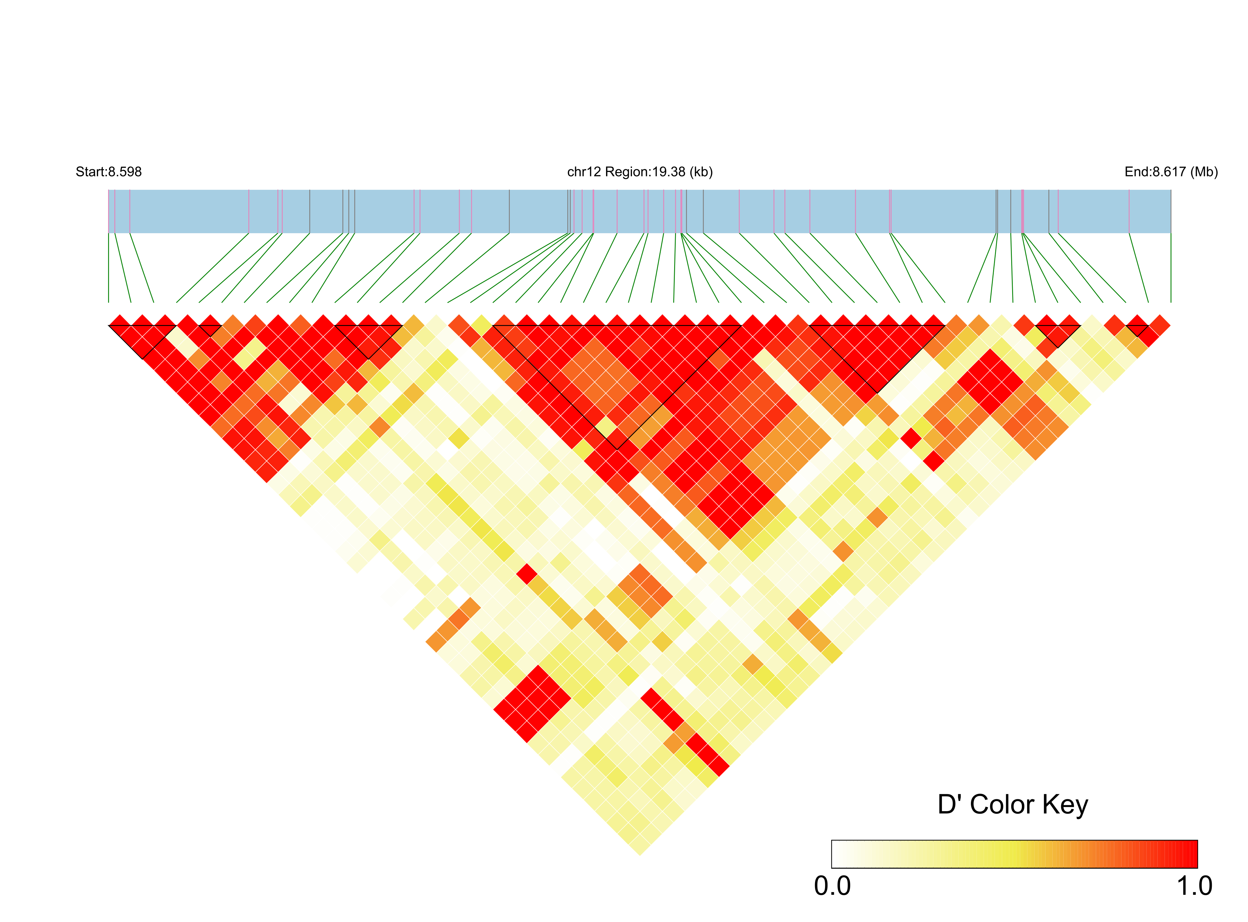 LD