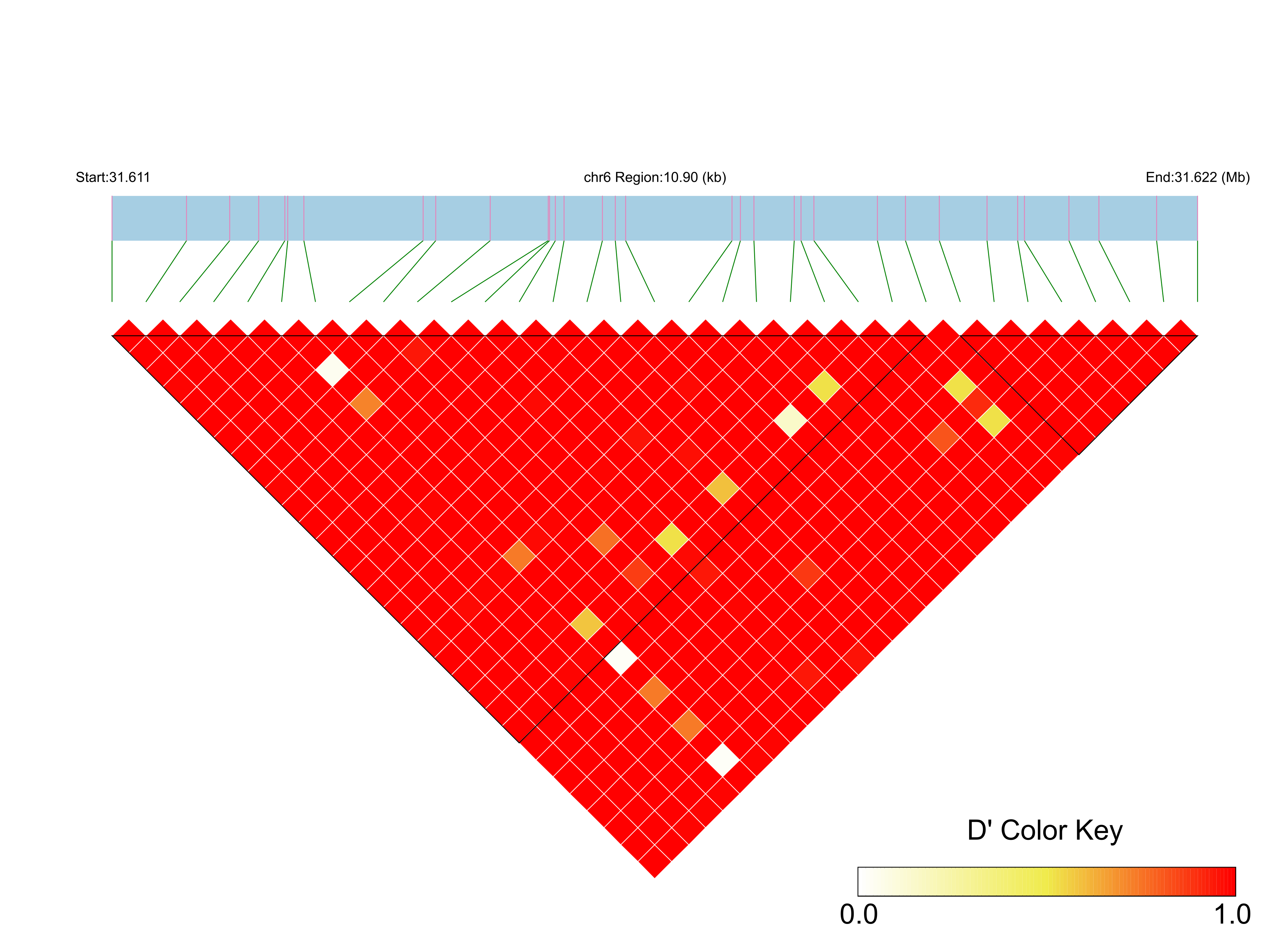 LD