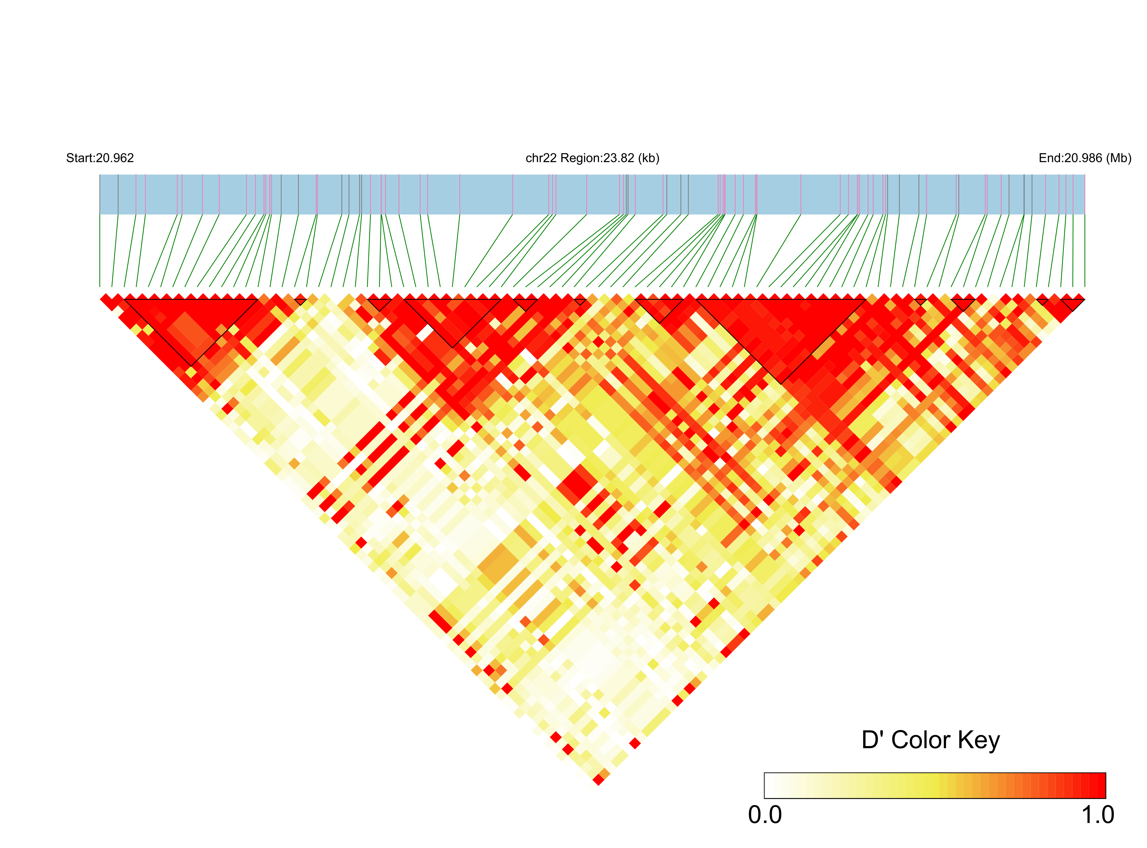 LD