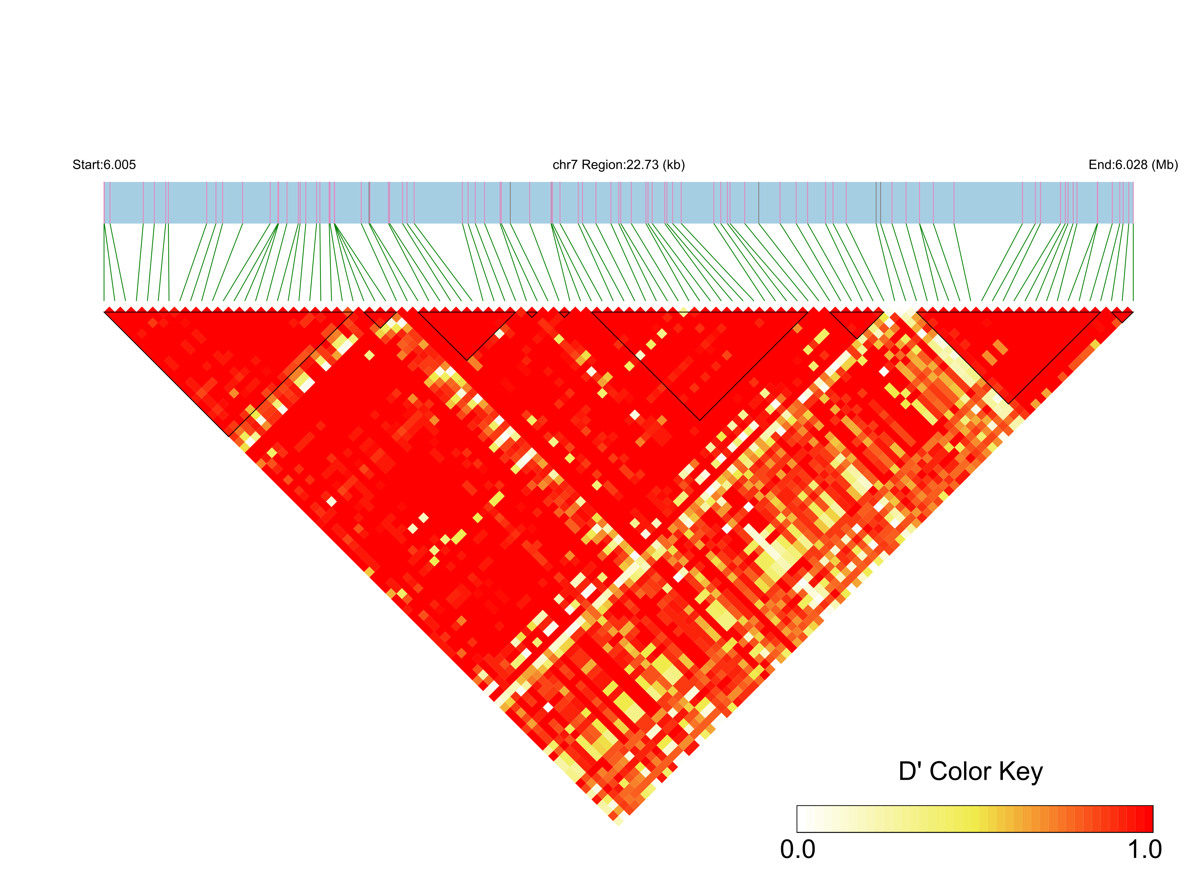 LD