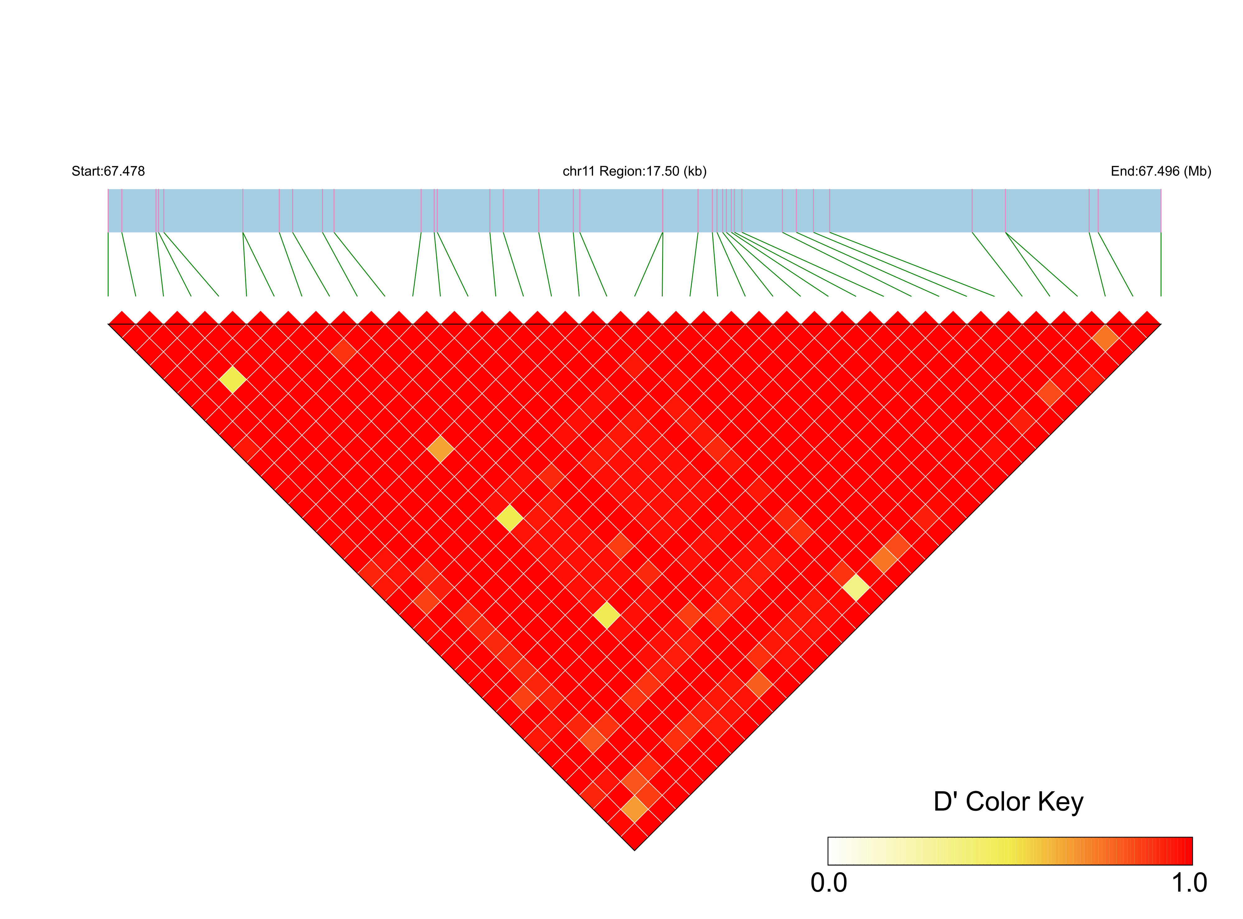 LD