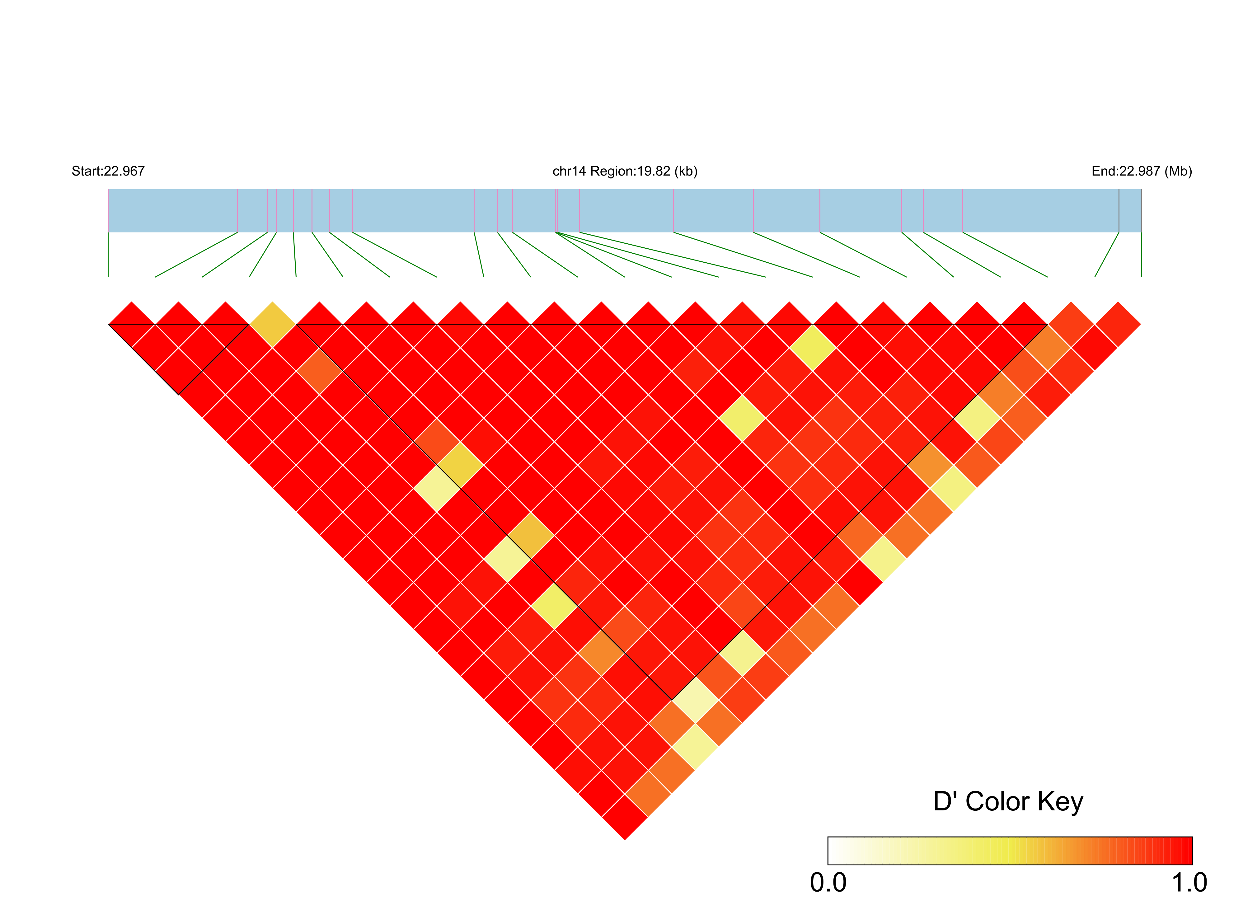 LD