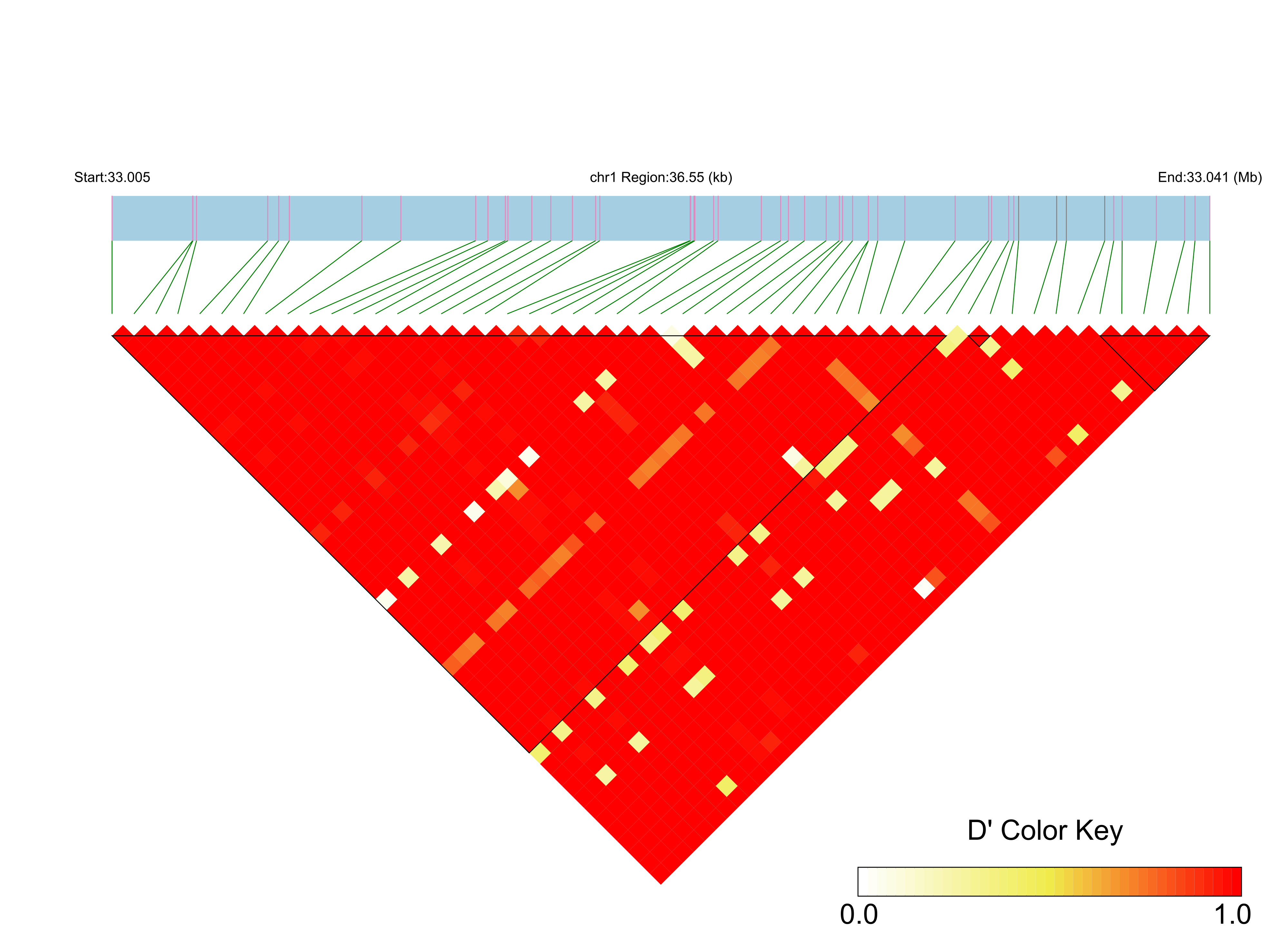 LD