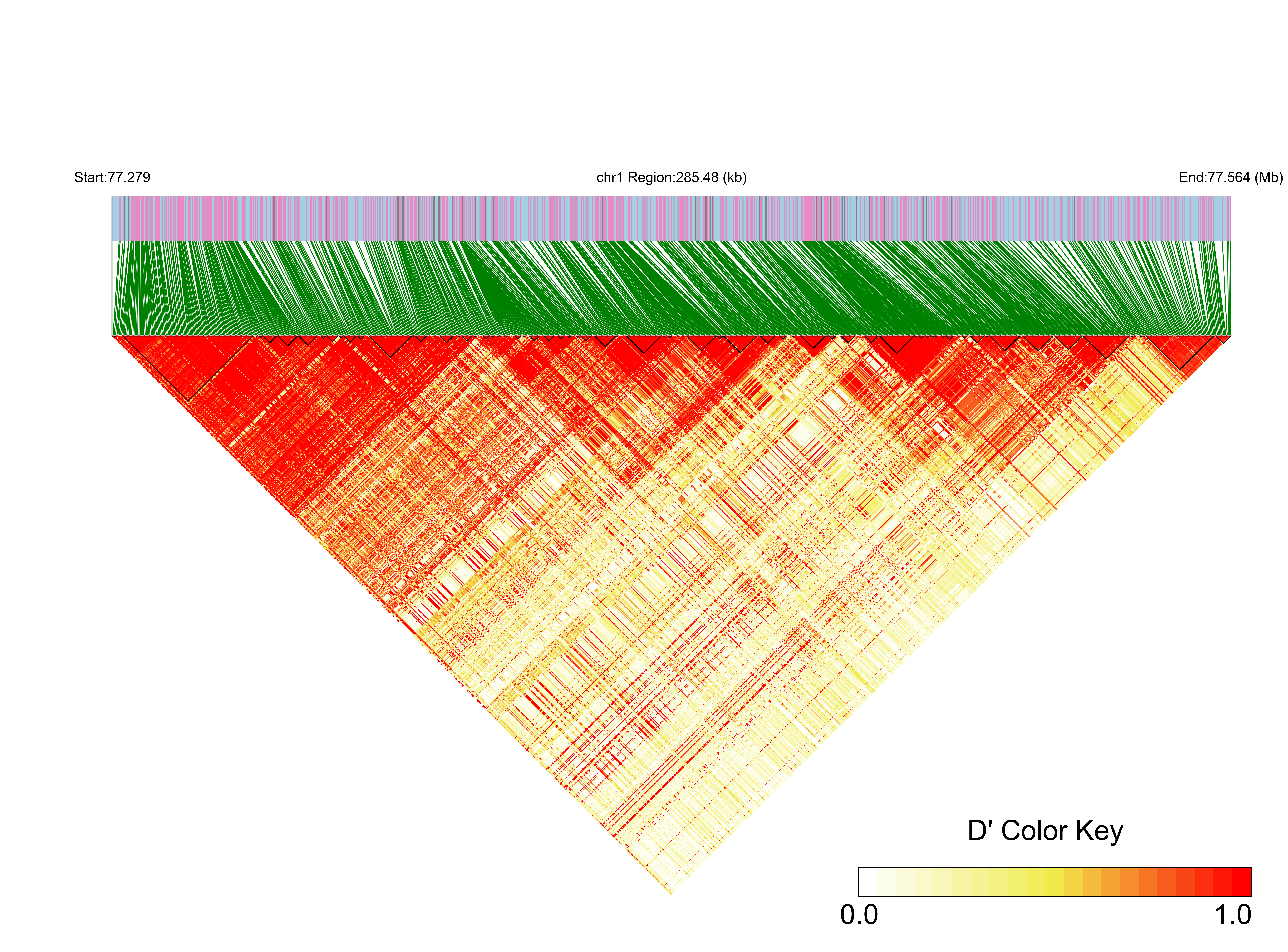 LD