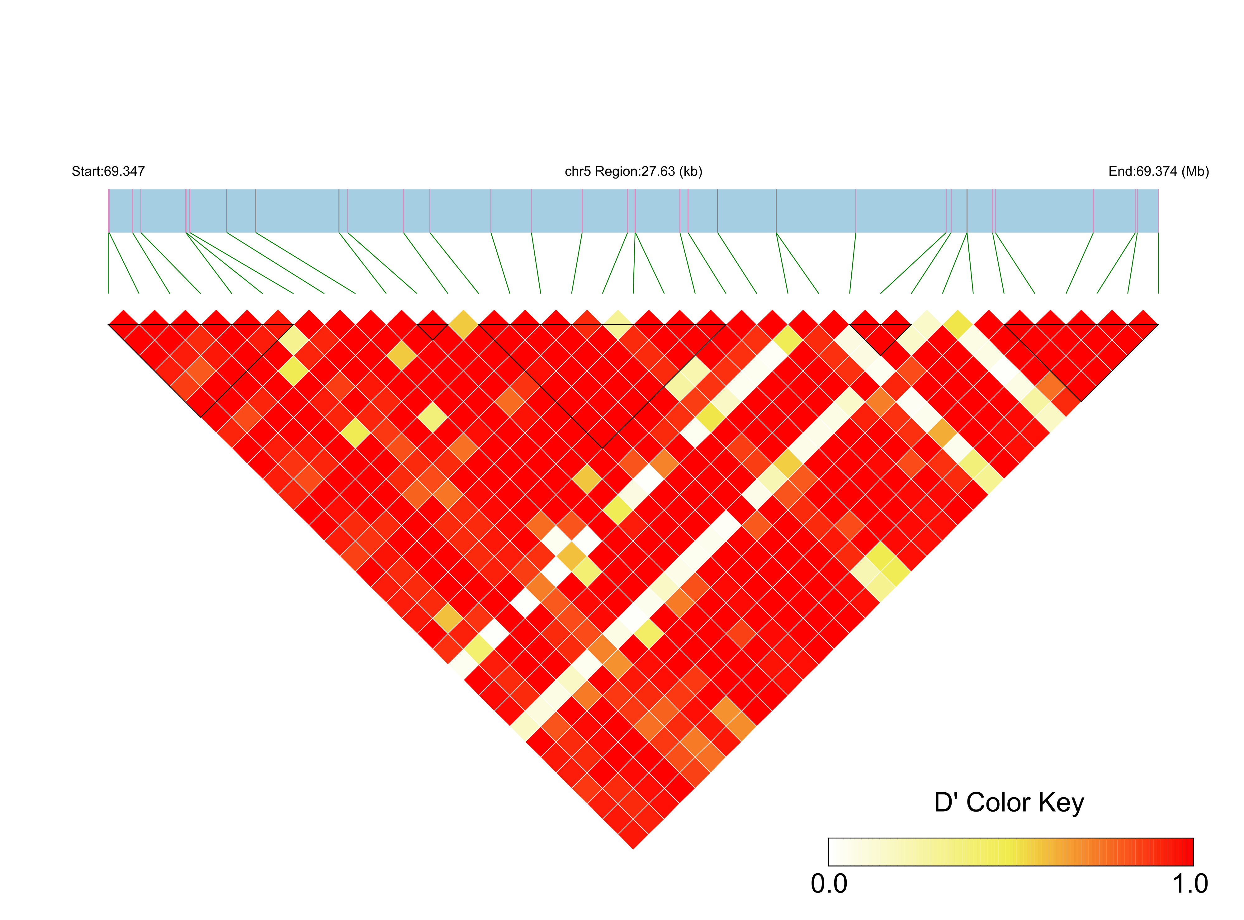 LD