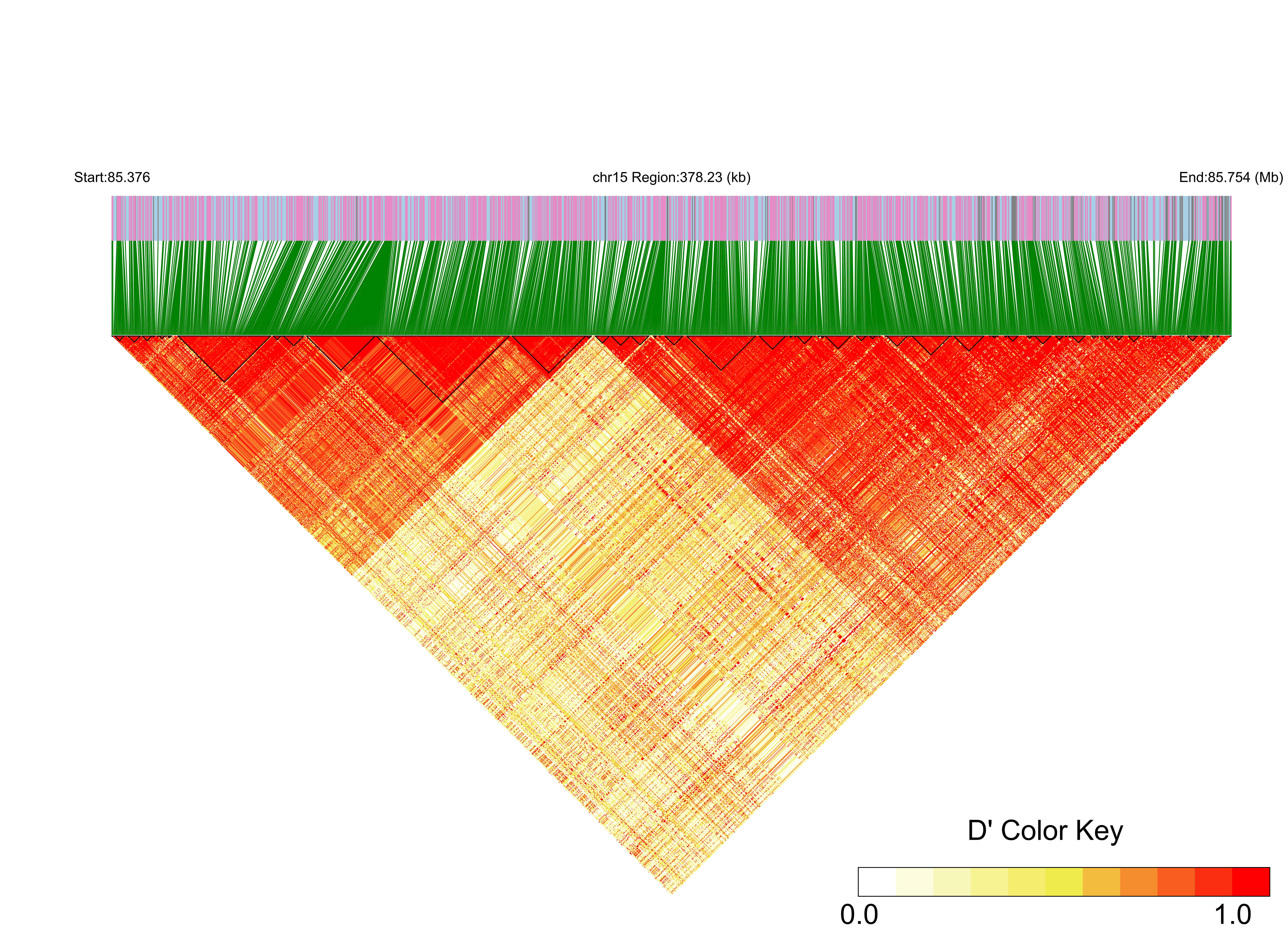 LD