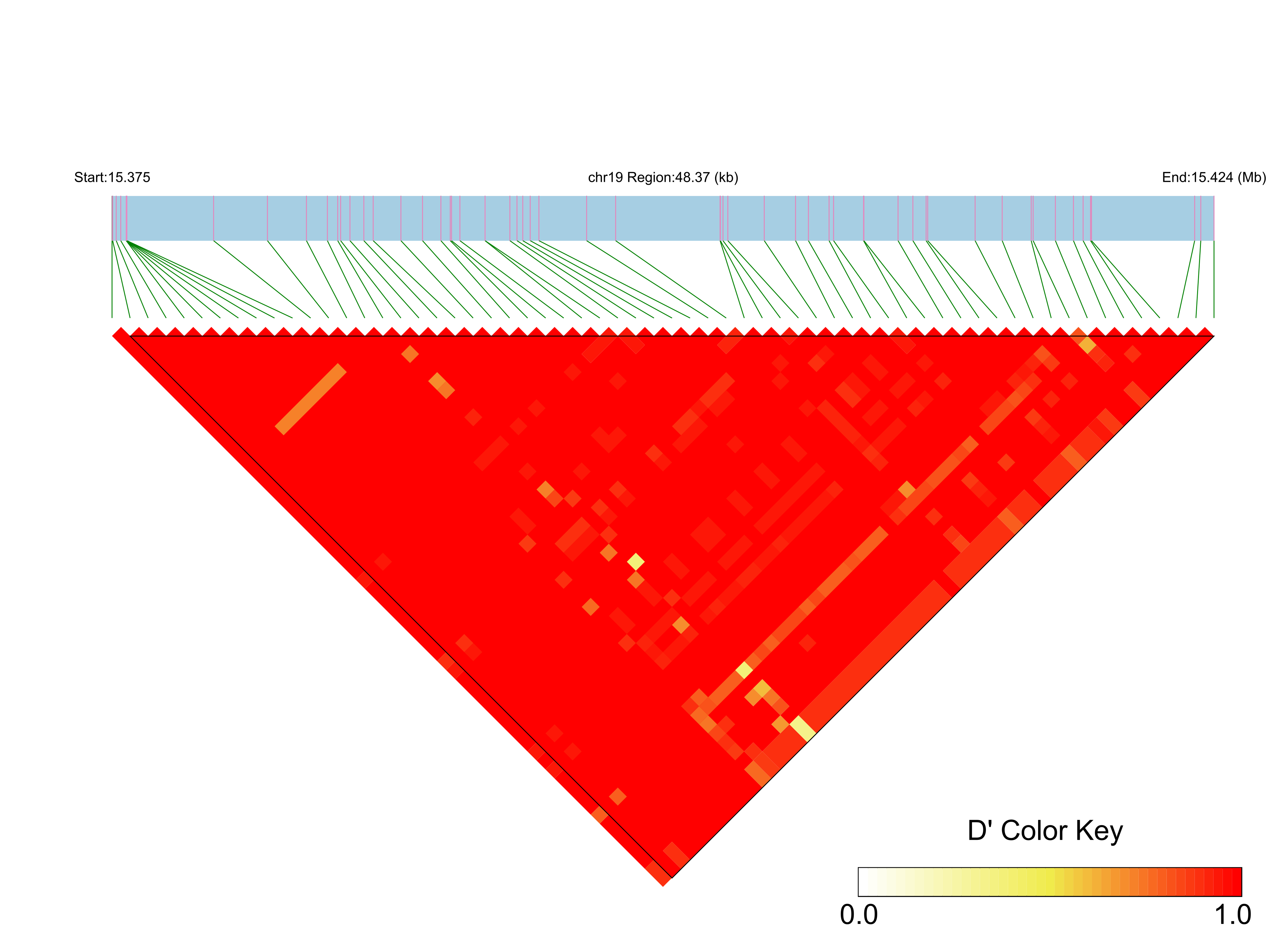 LD