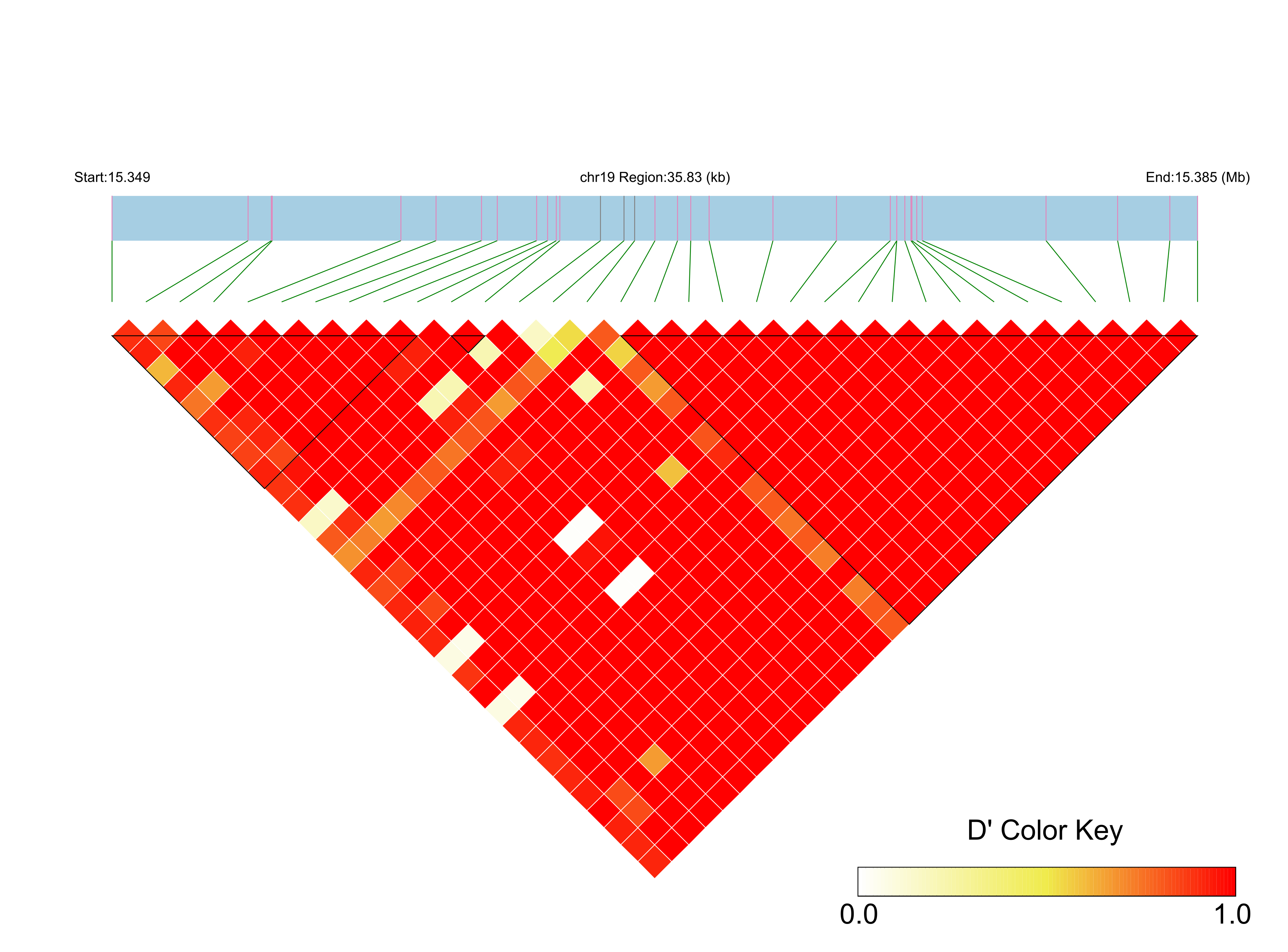 LD