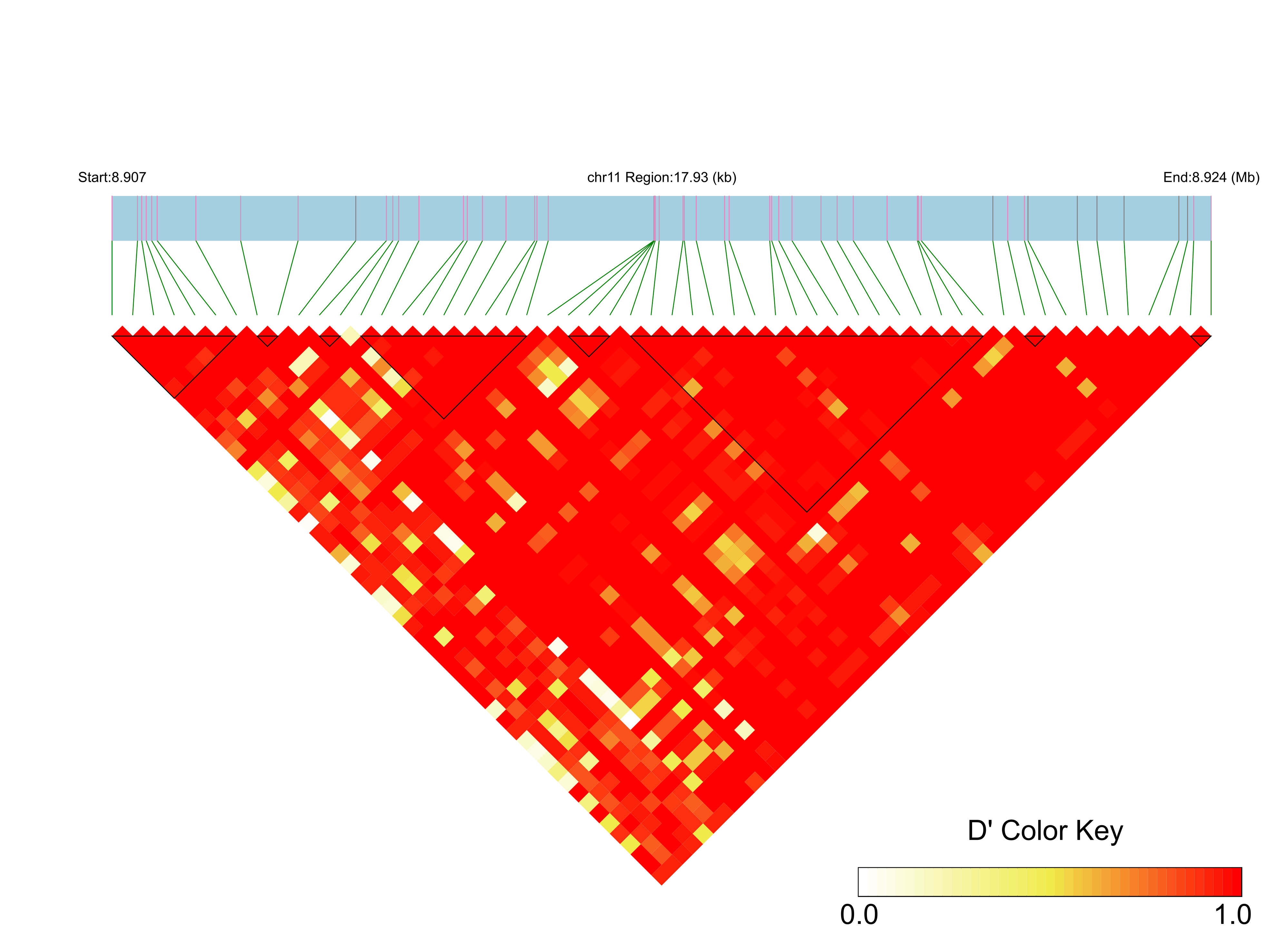 LD