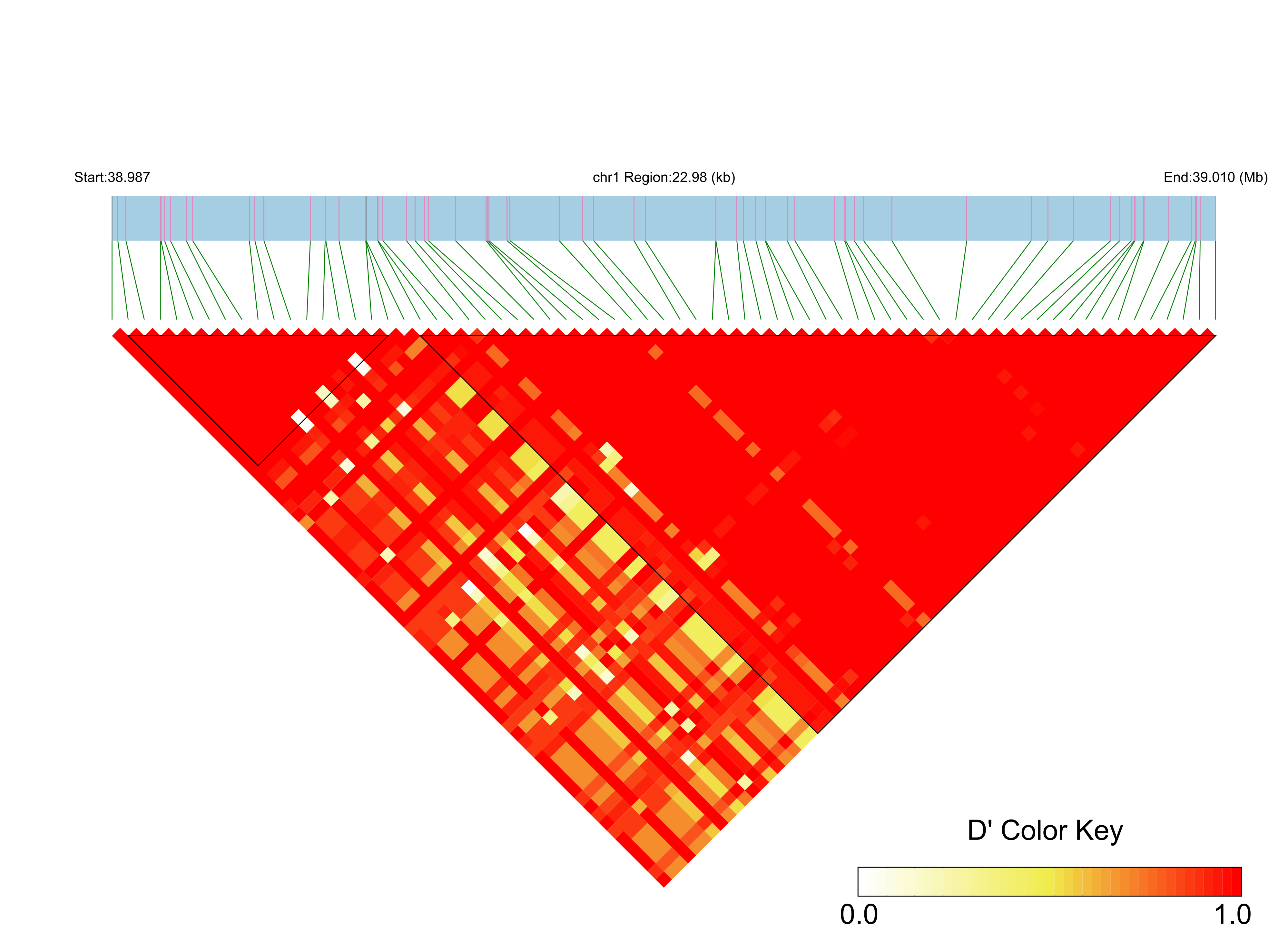 LD