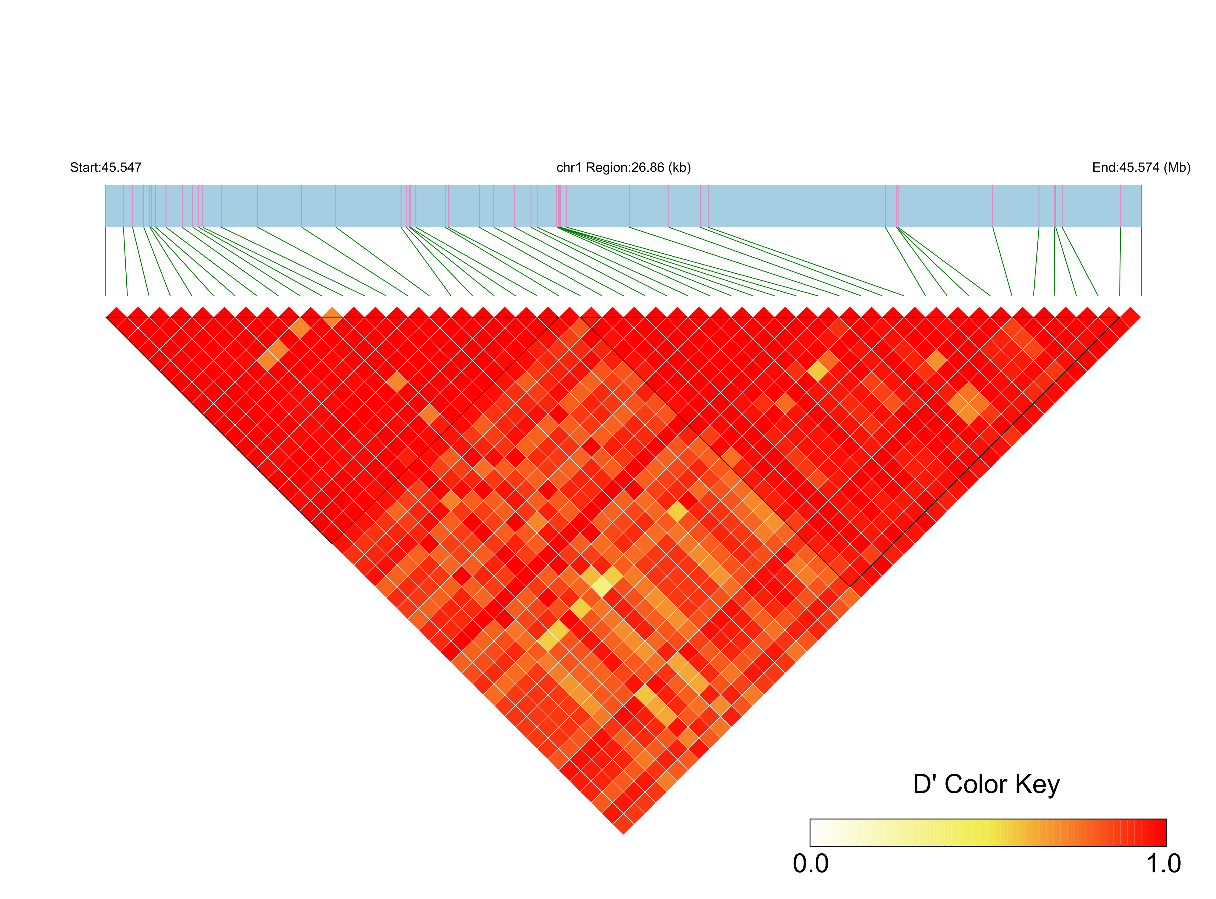 LD