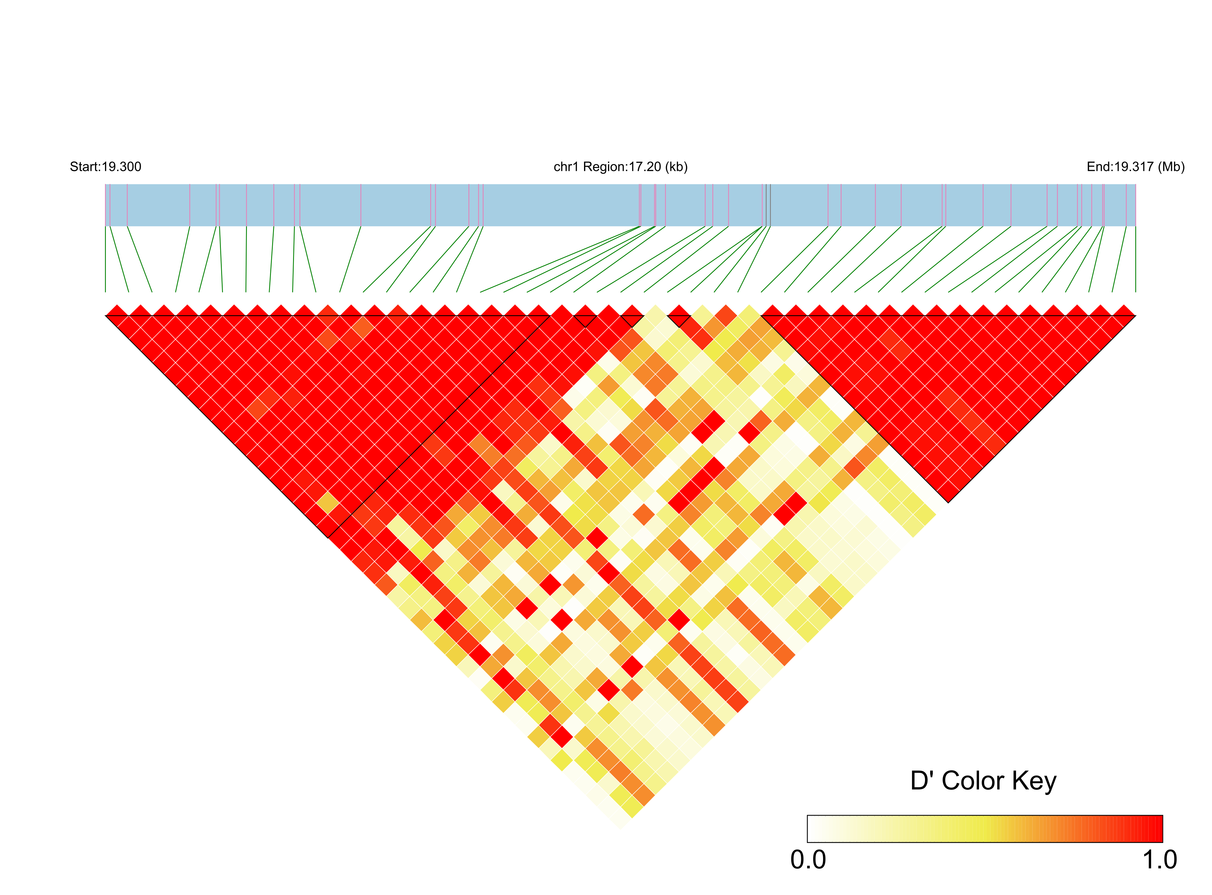 LD