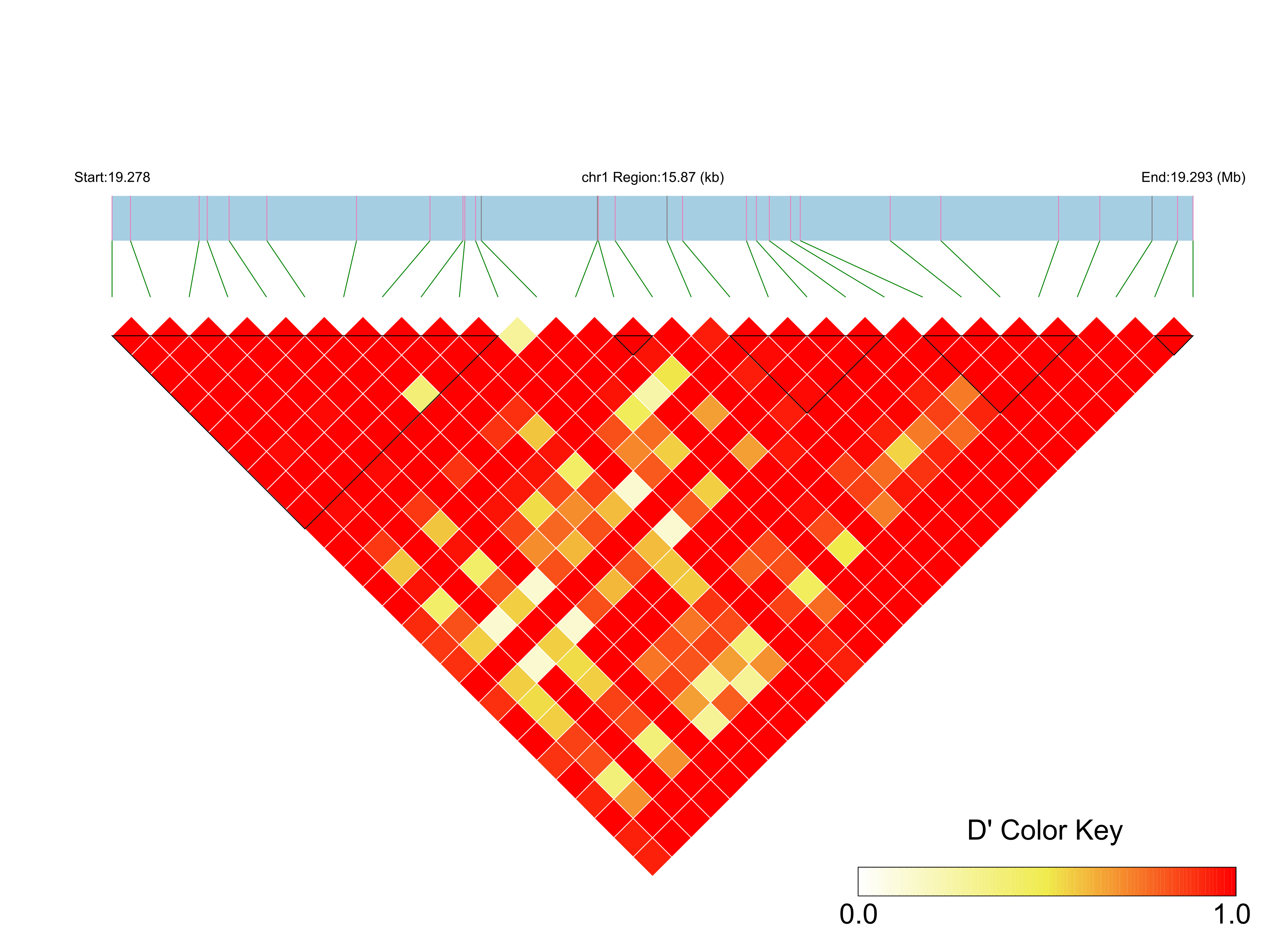 LD