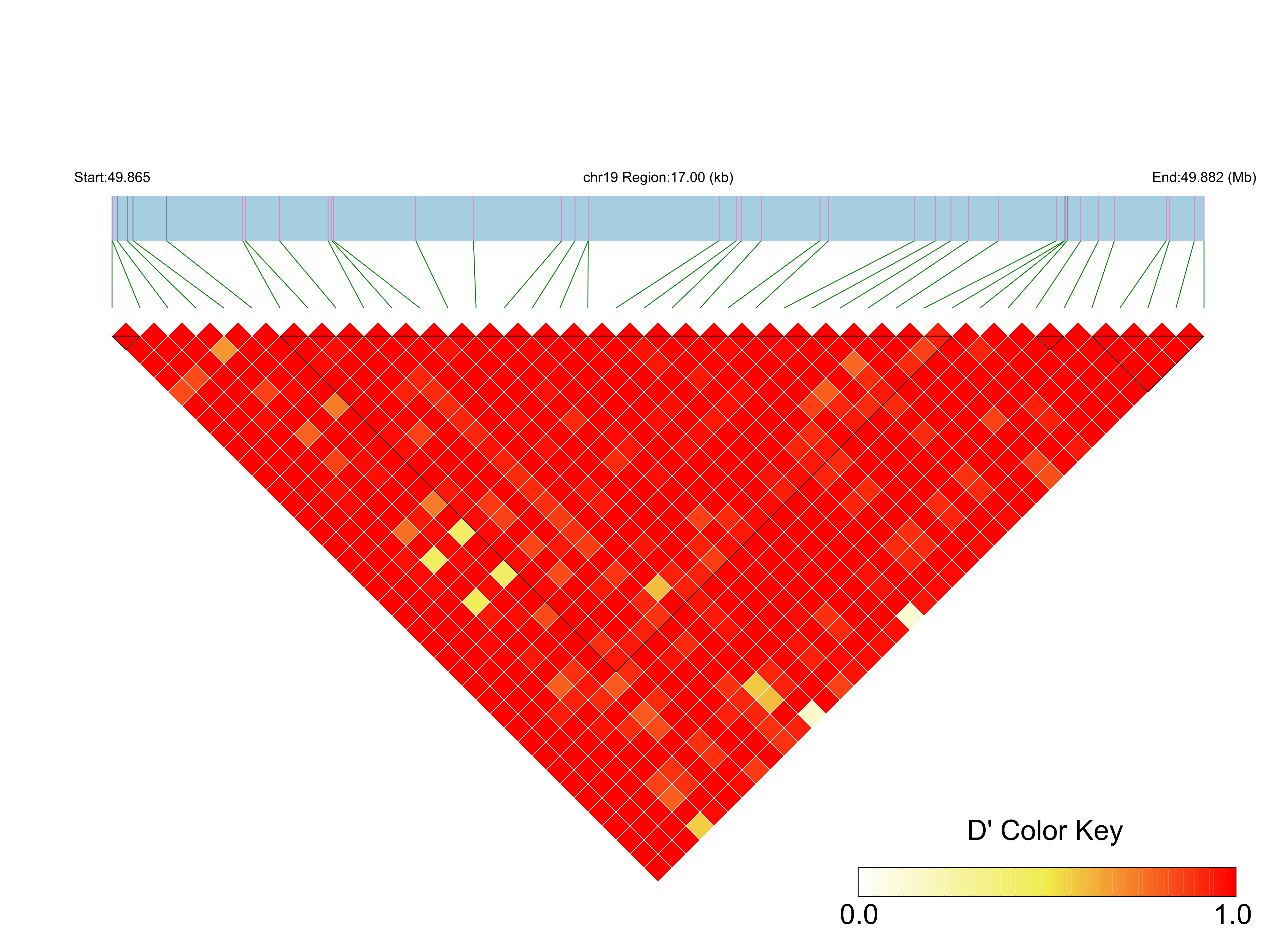 LD