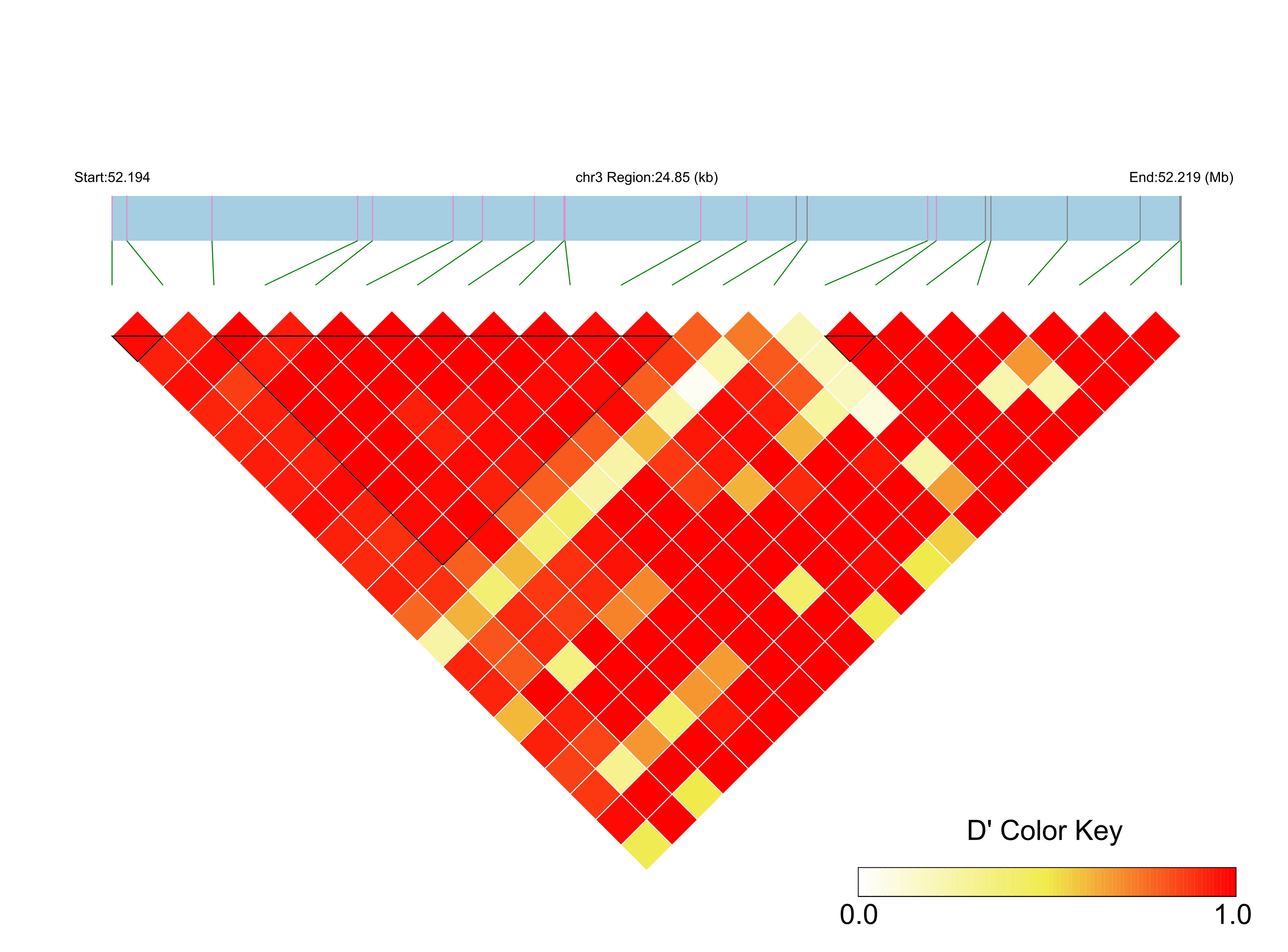 LD