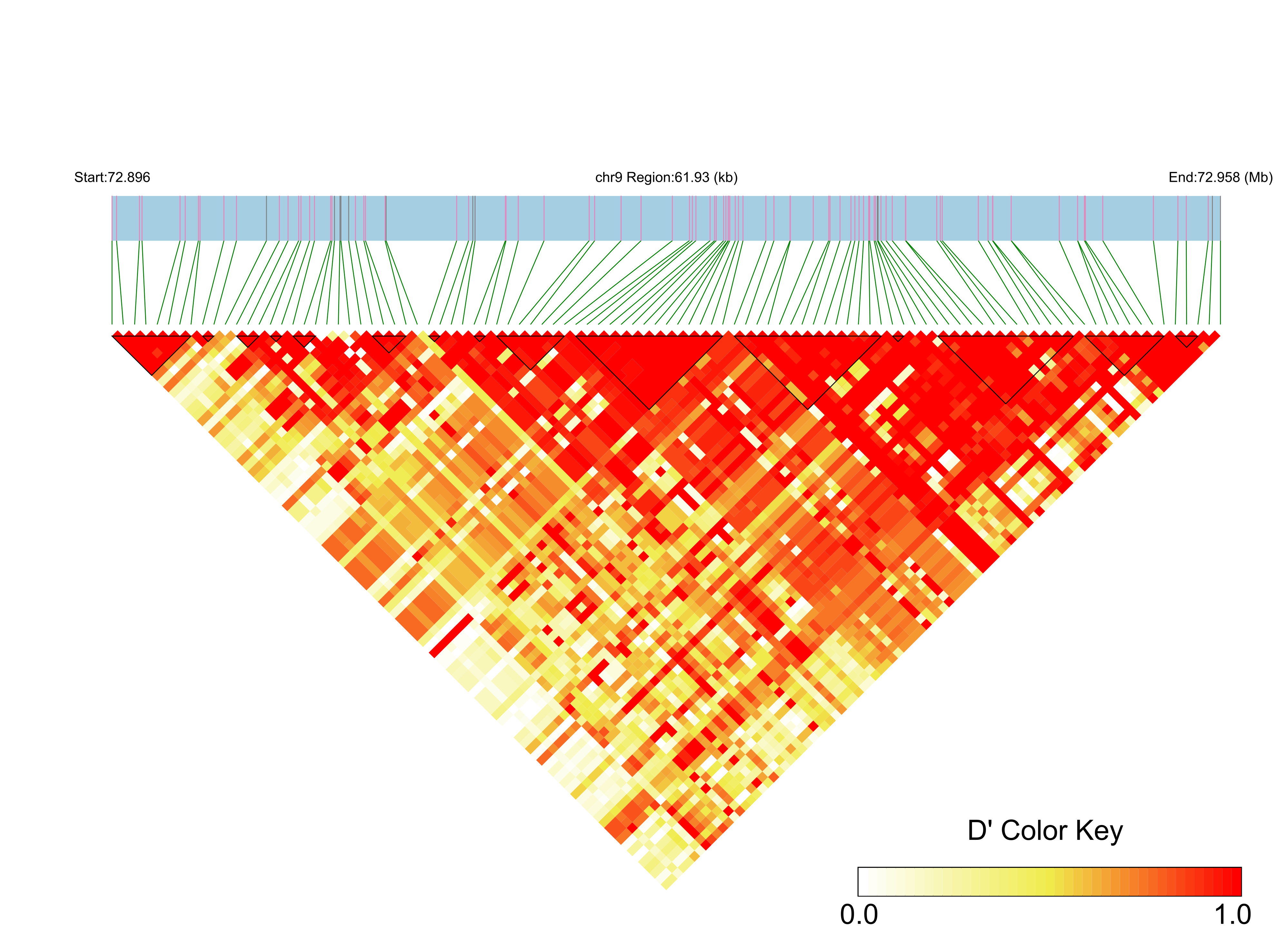 LD