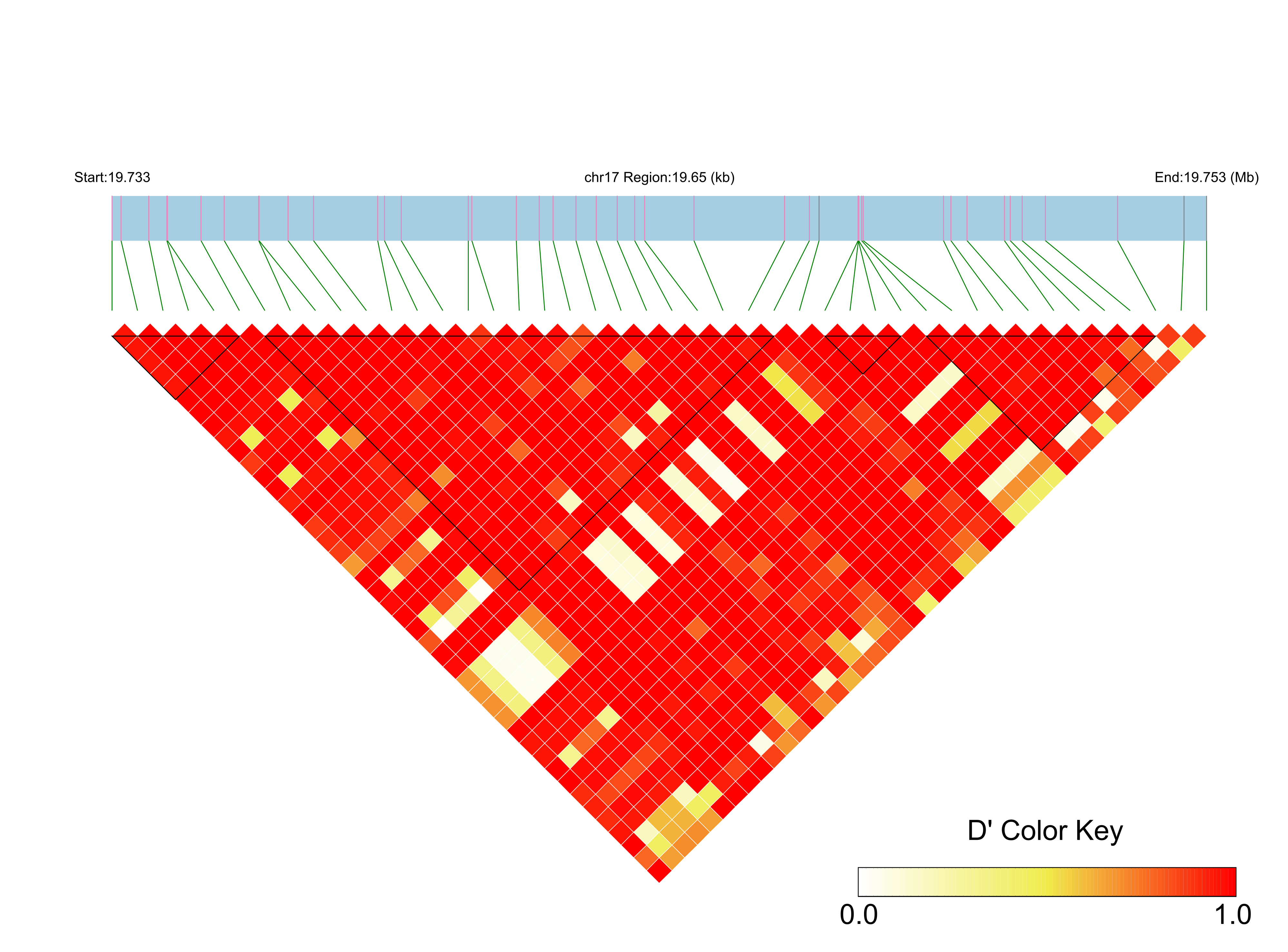 LD