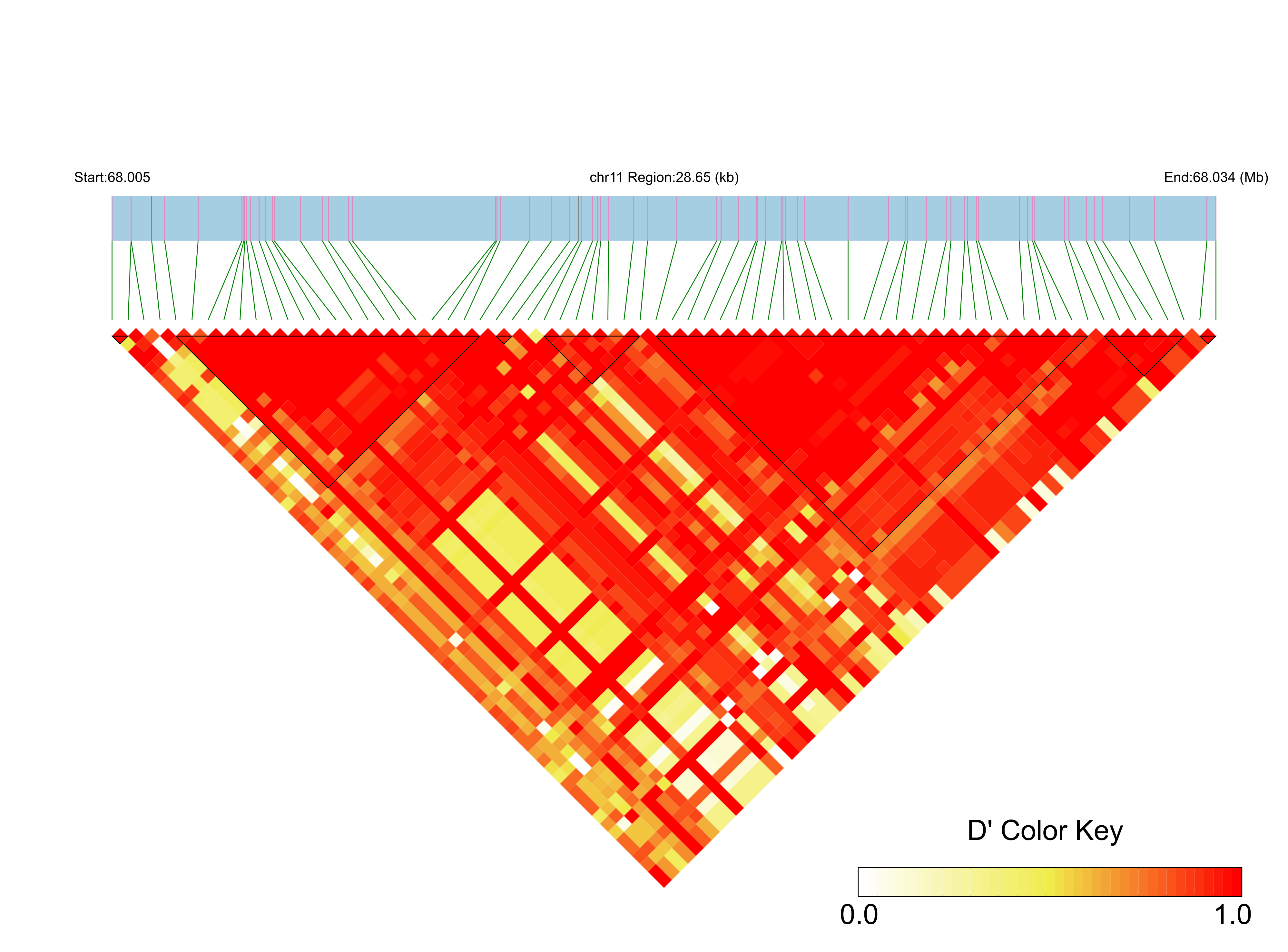 LD