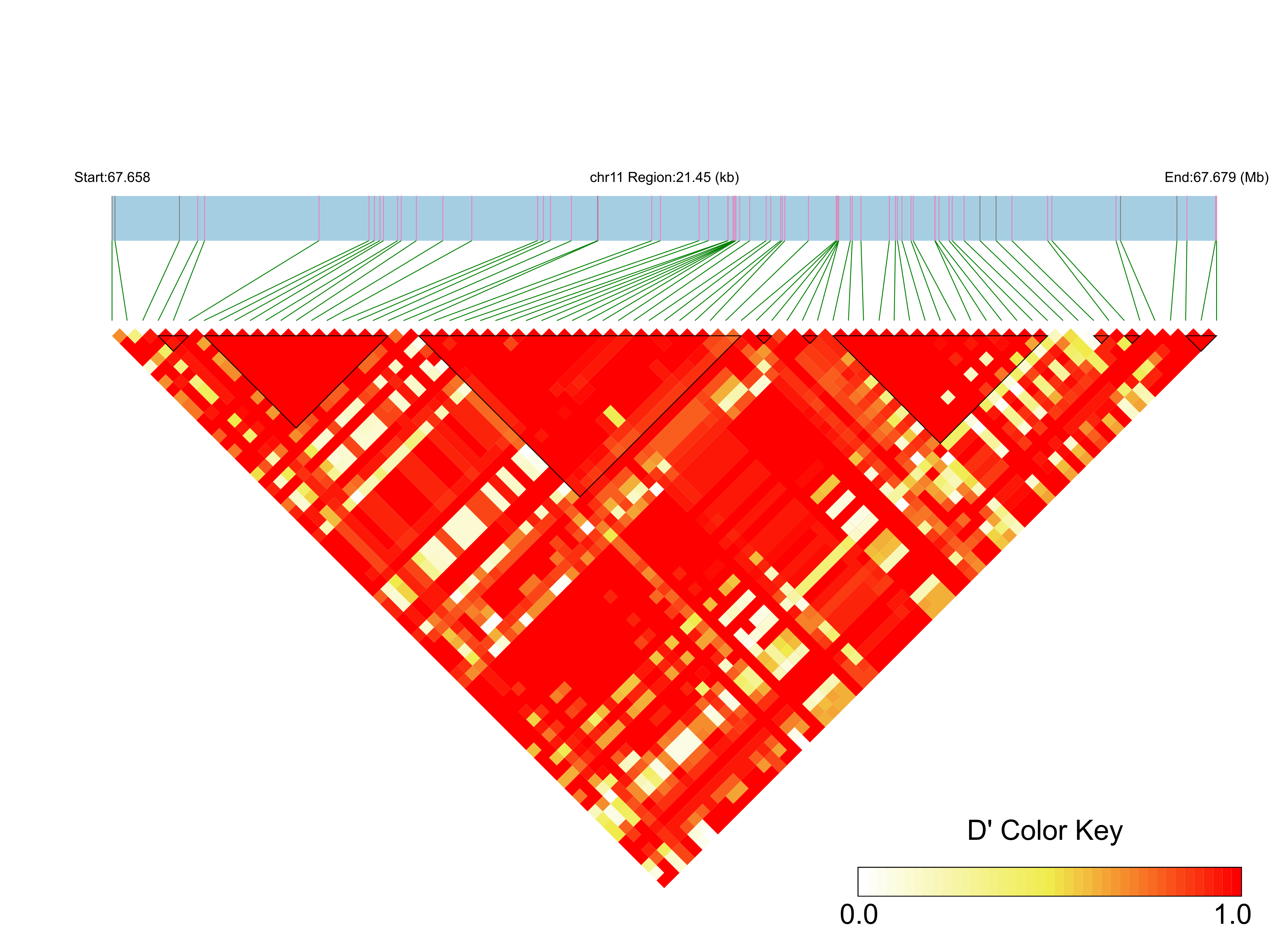 LD