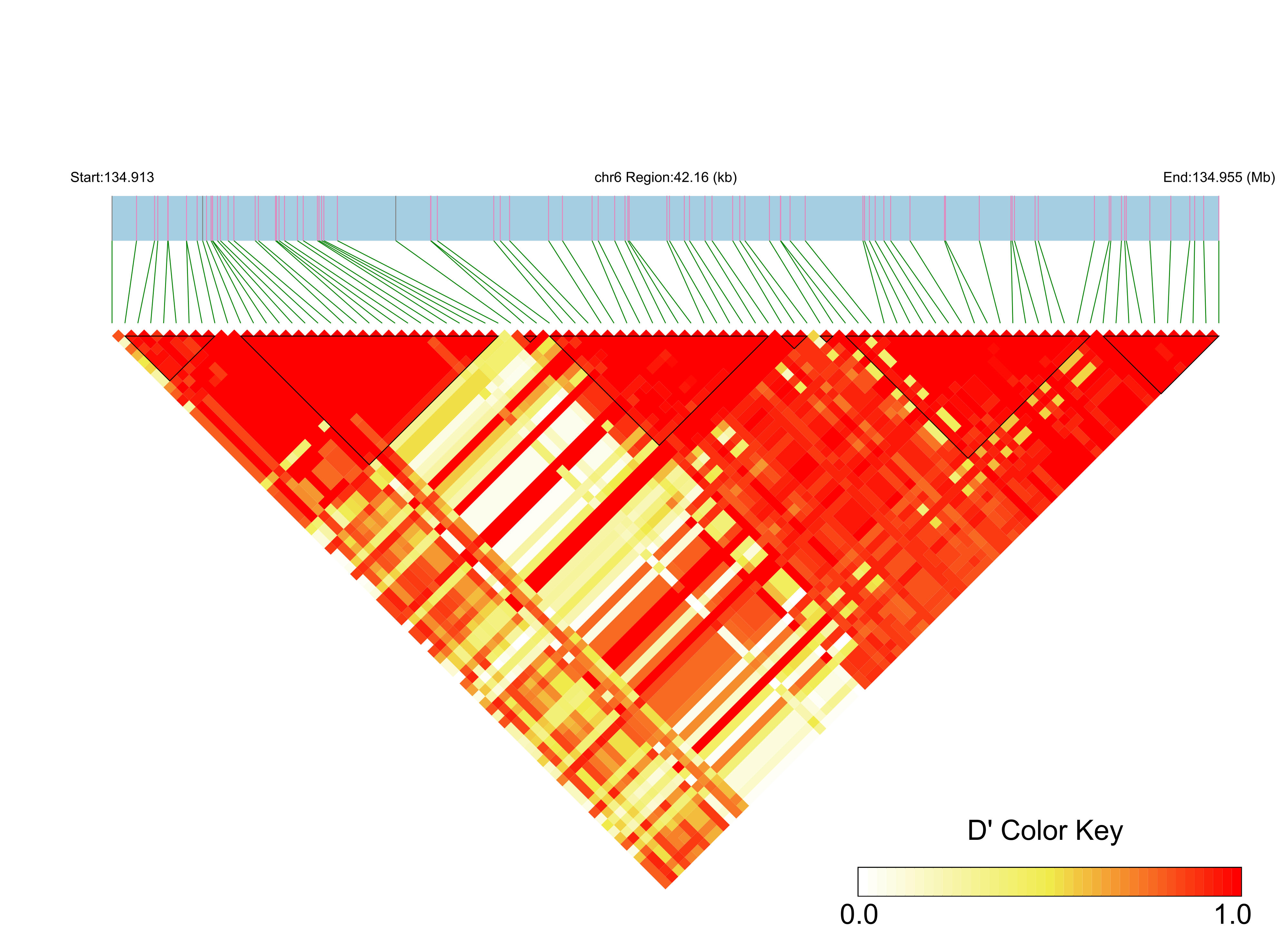 LD