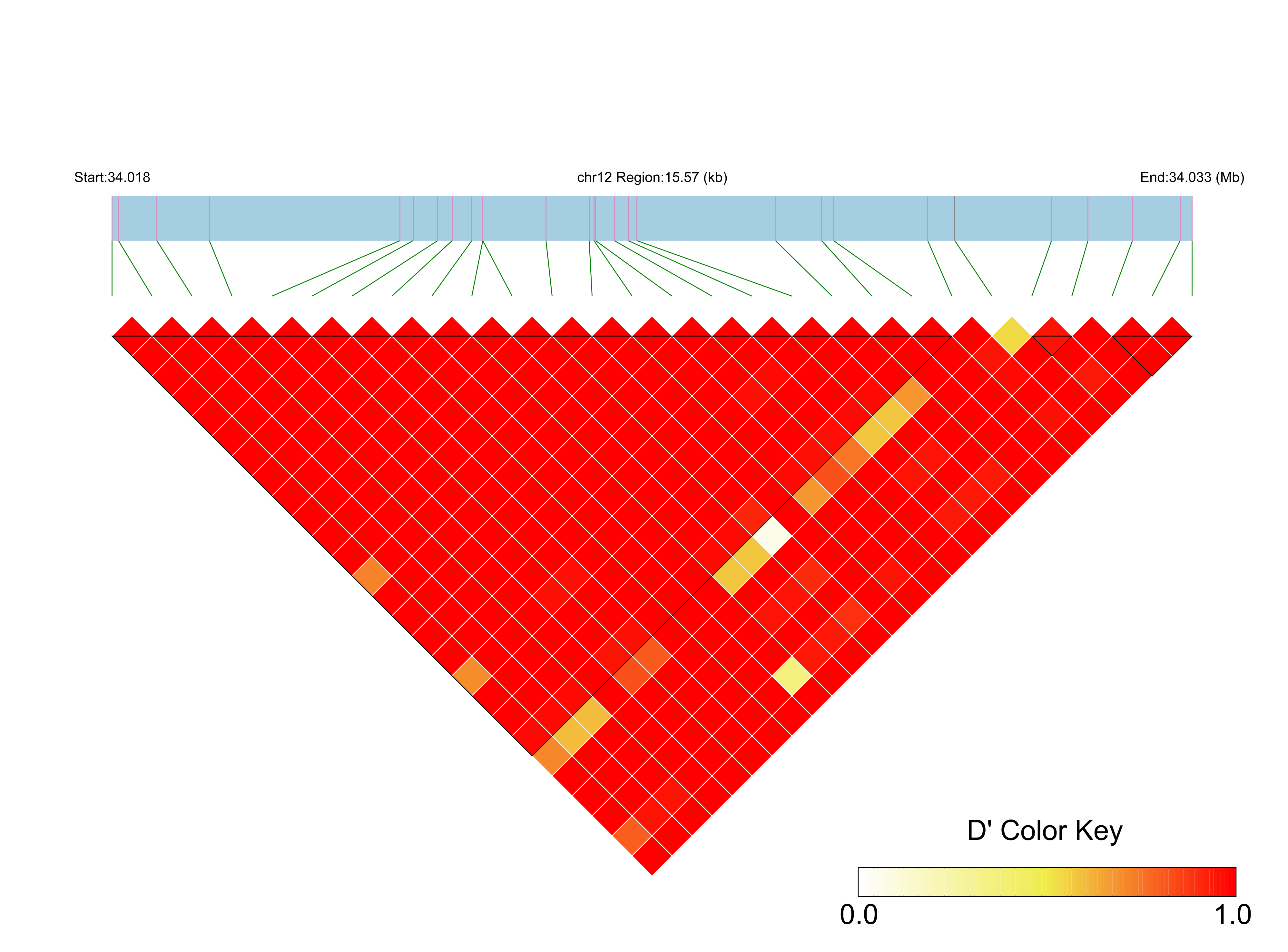 LD