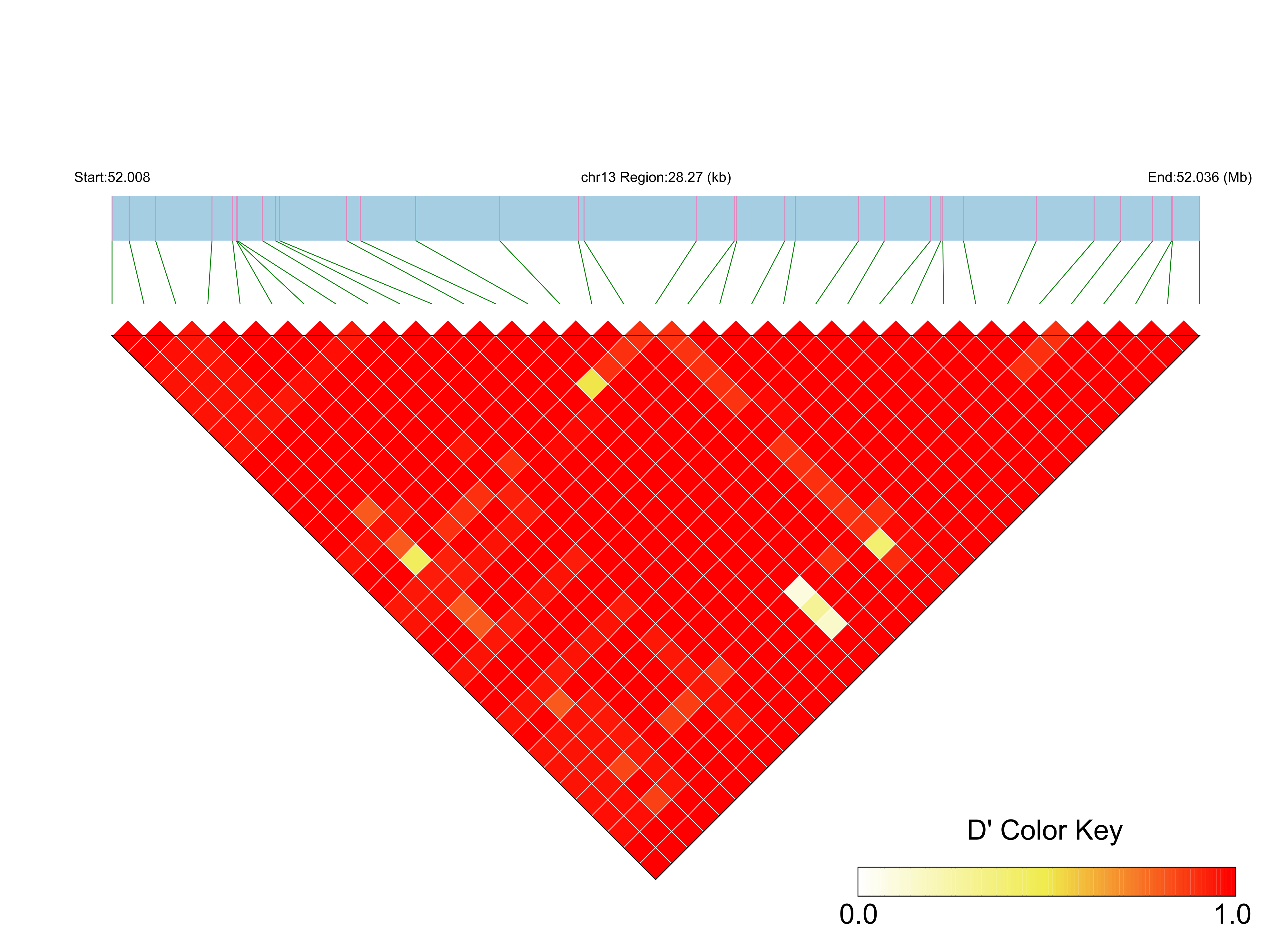 LD