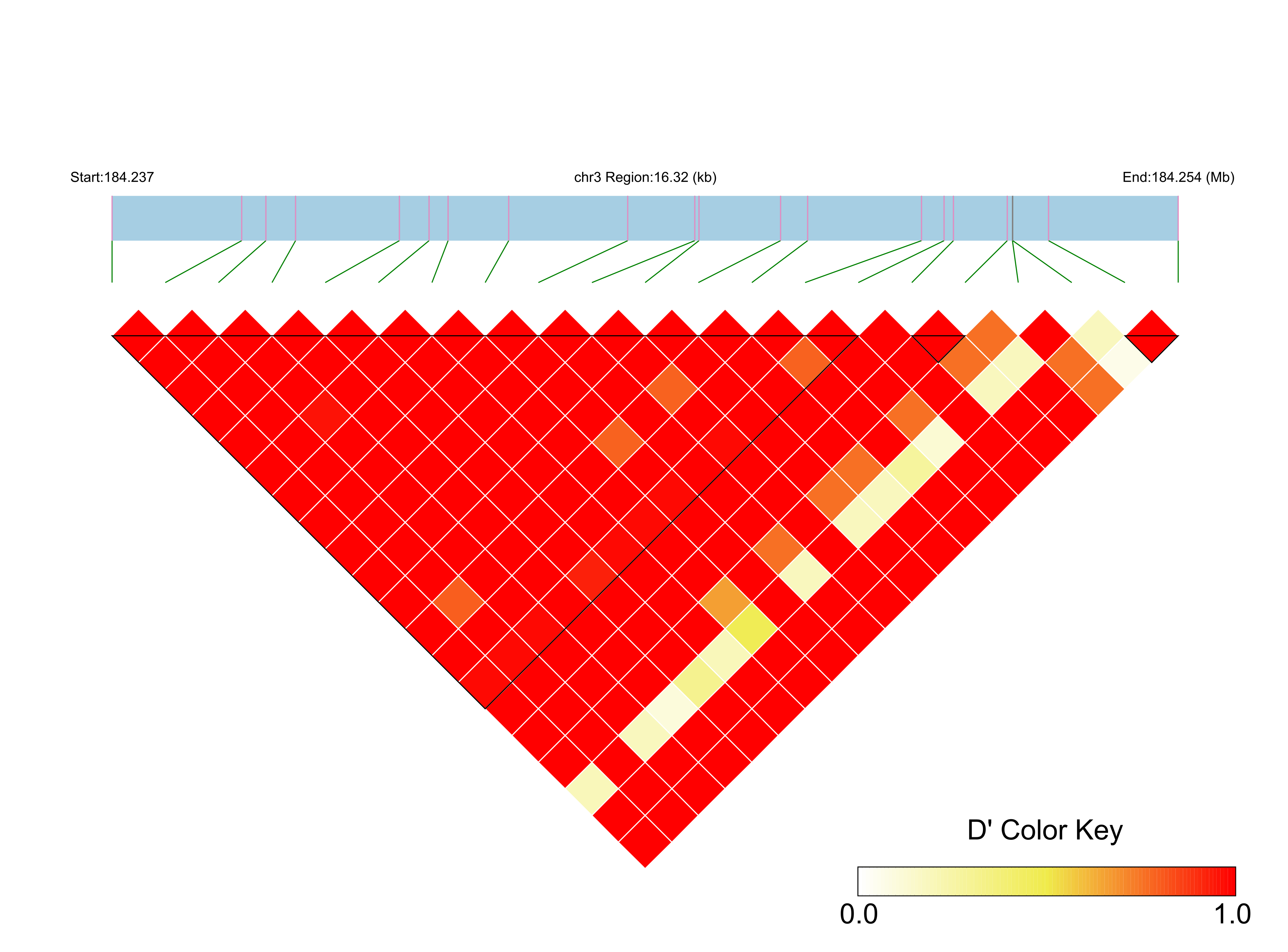 LD