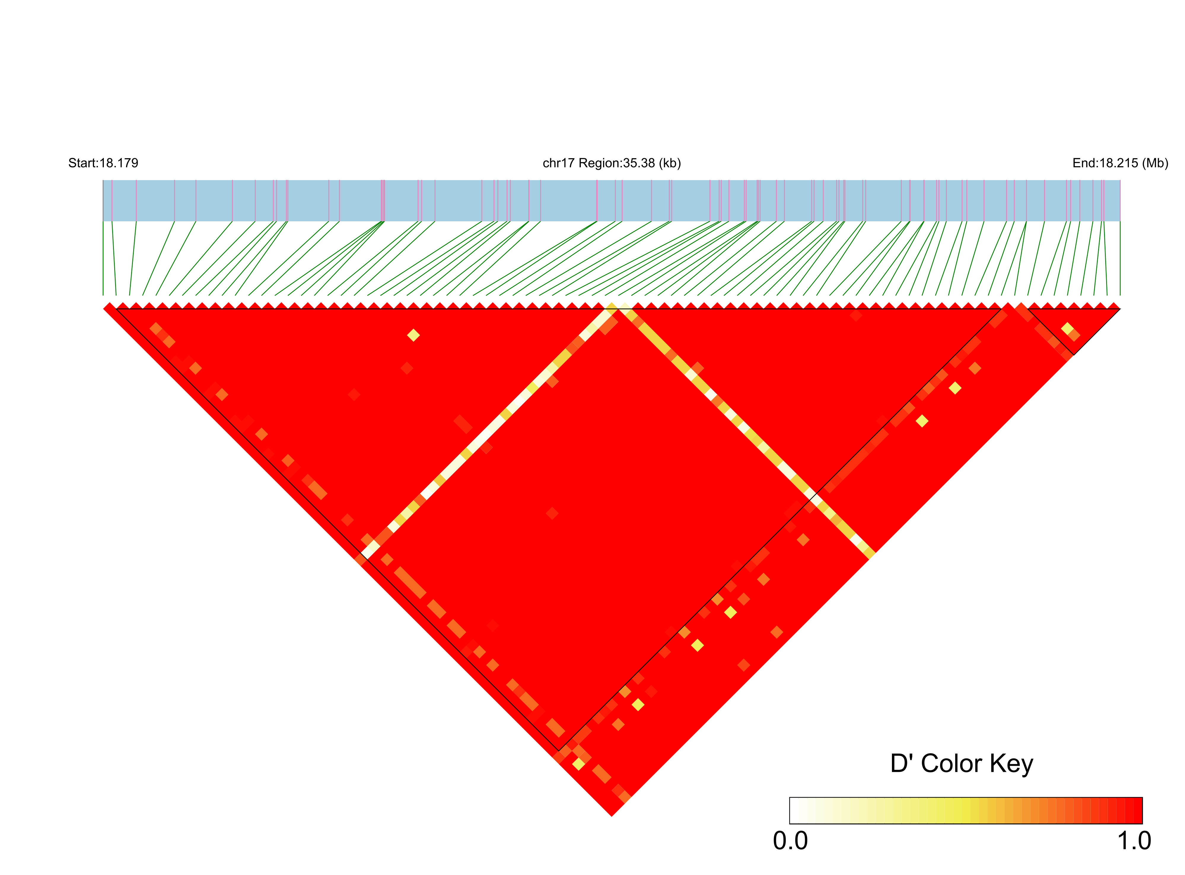 LD