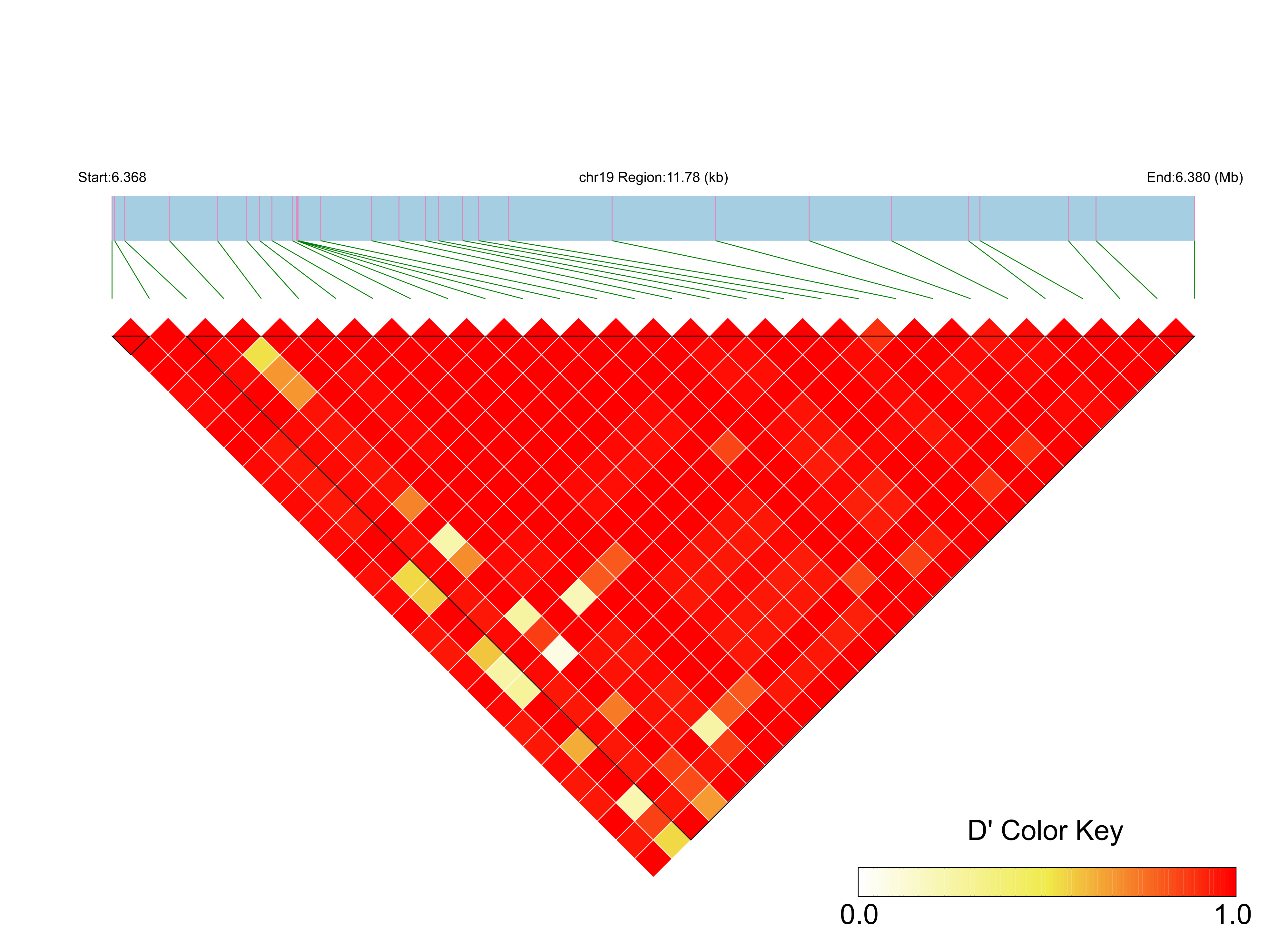 LD
