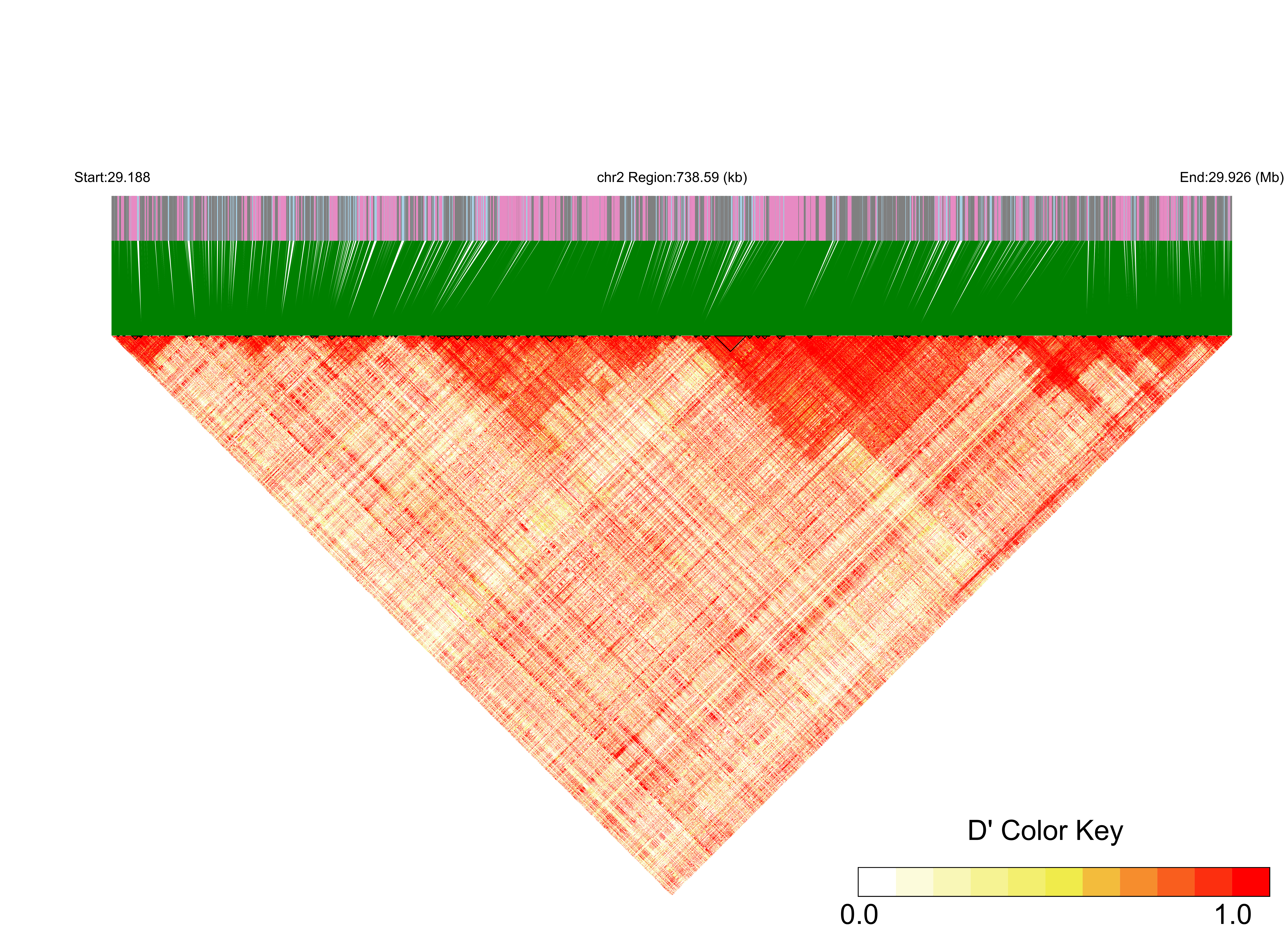 LD