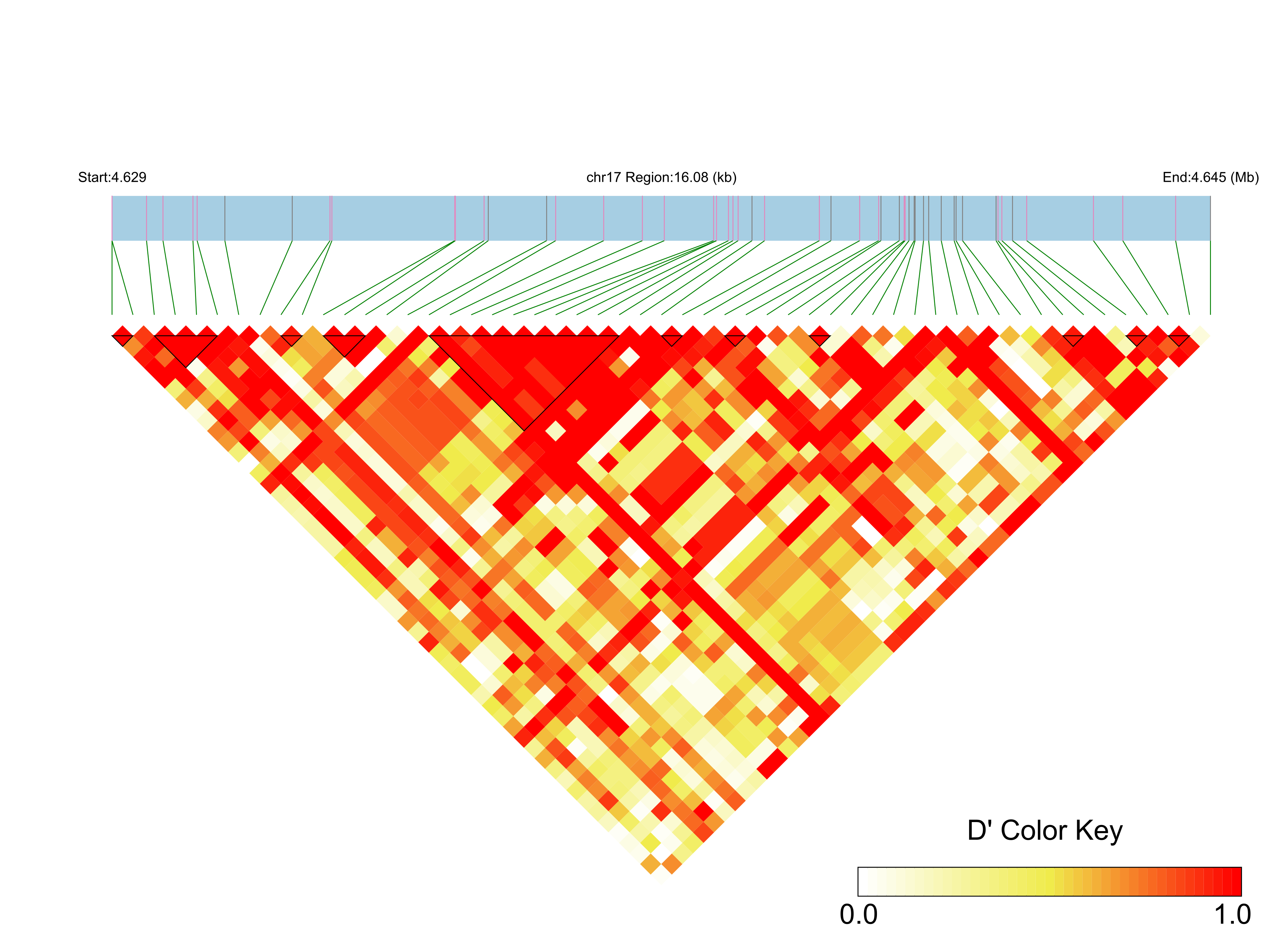 LD