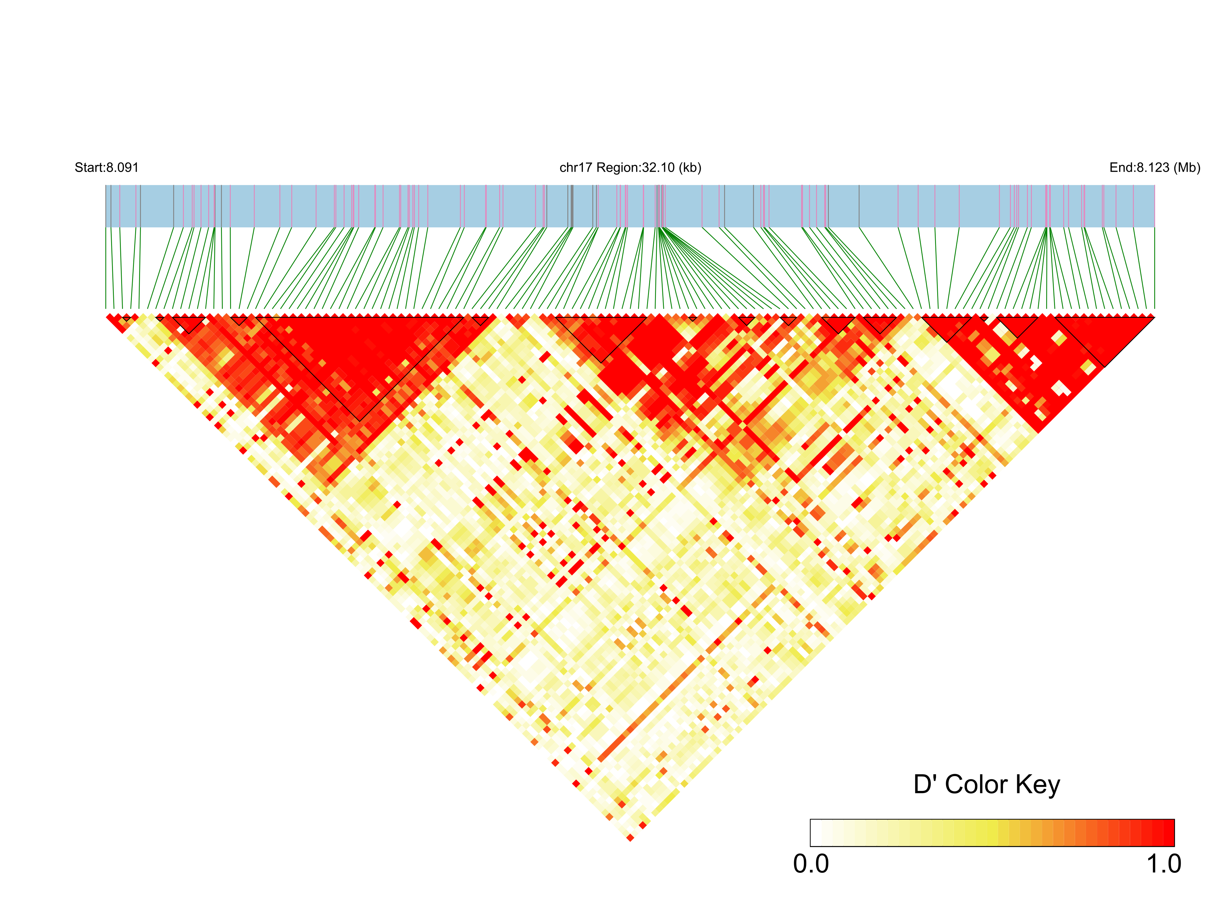 LD