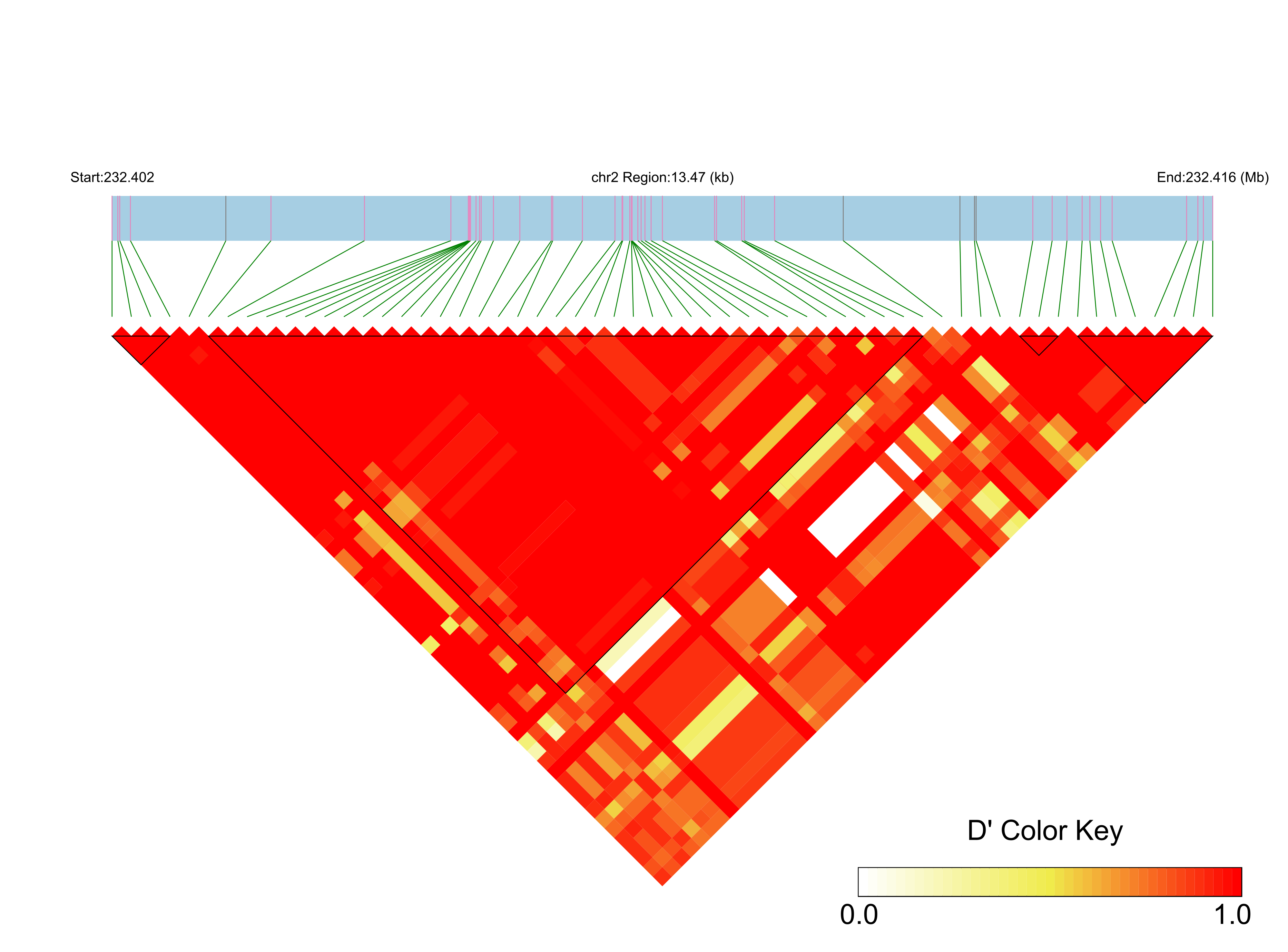 LD