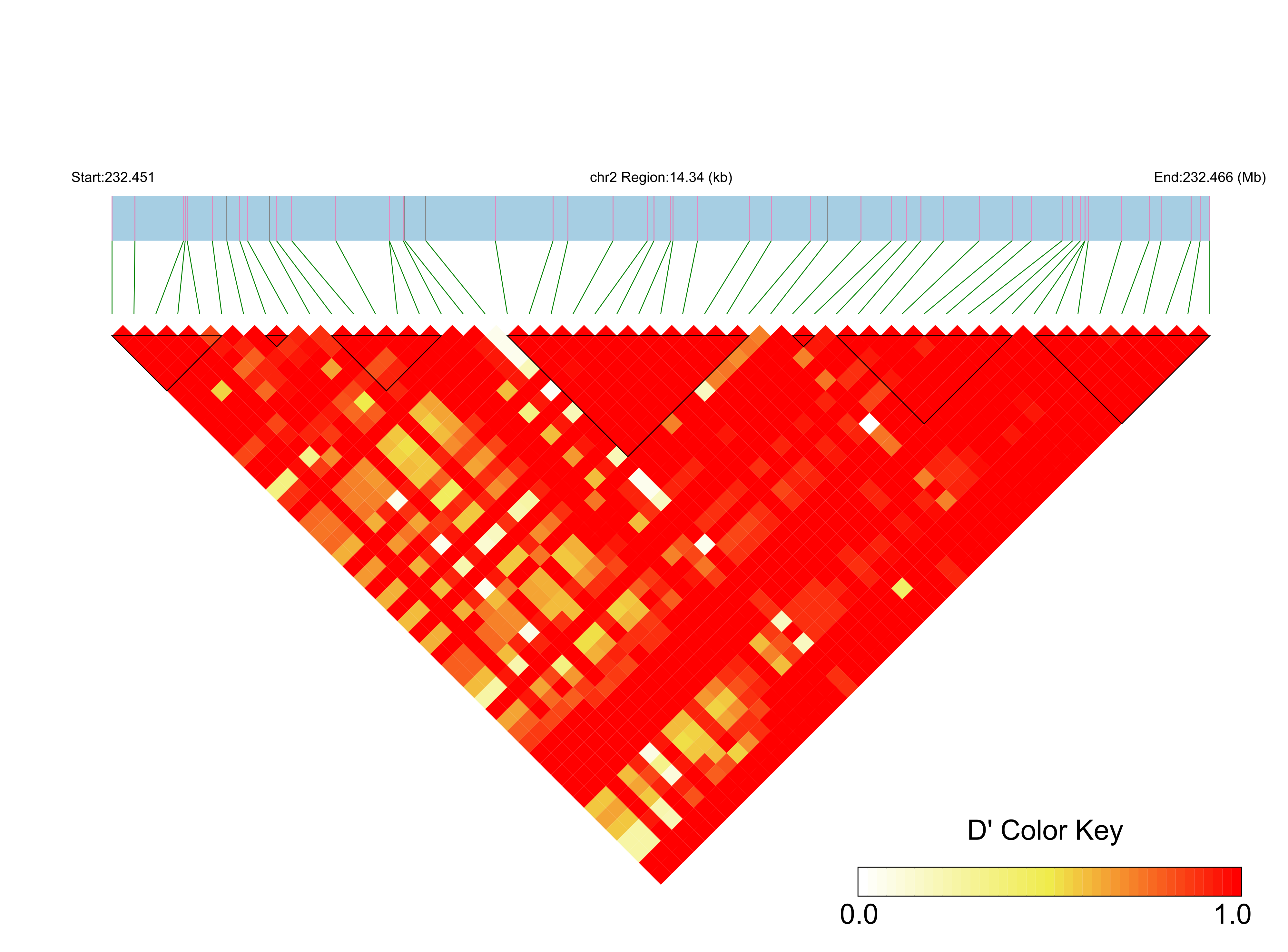 LD