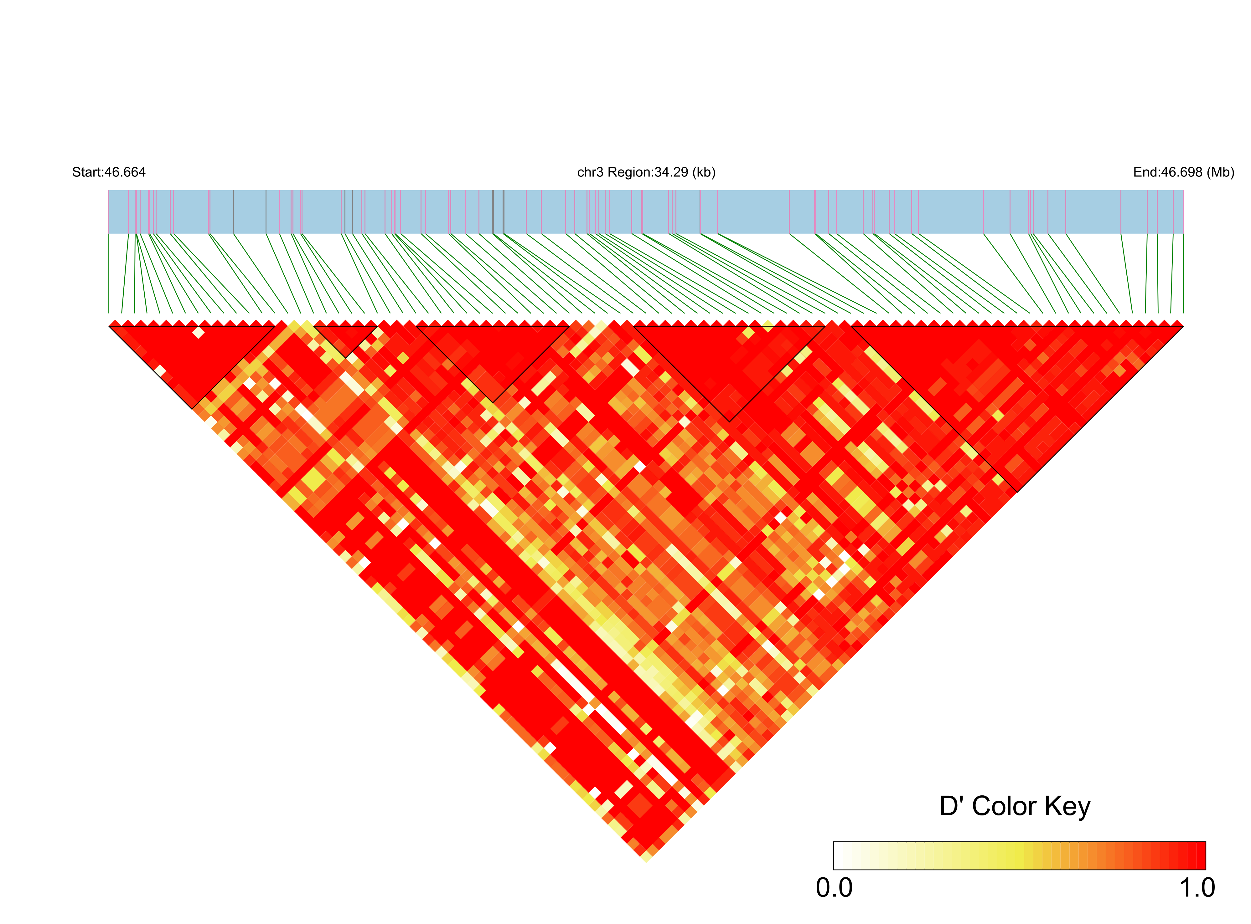 LD