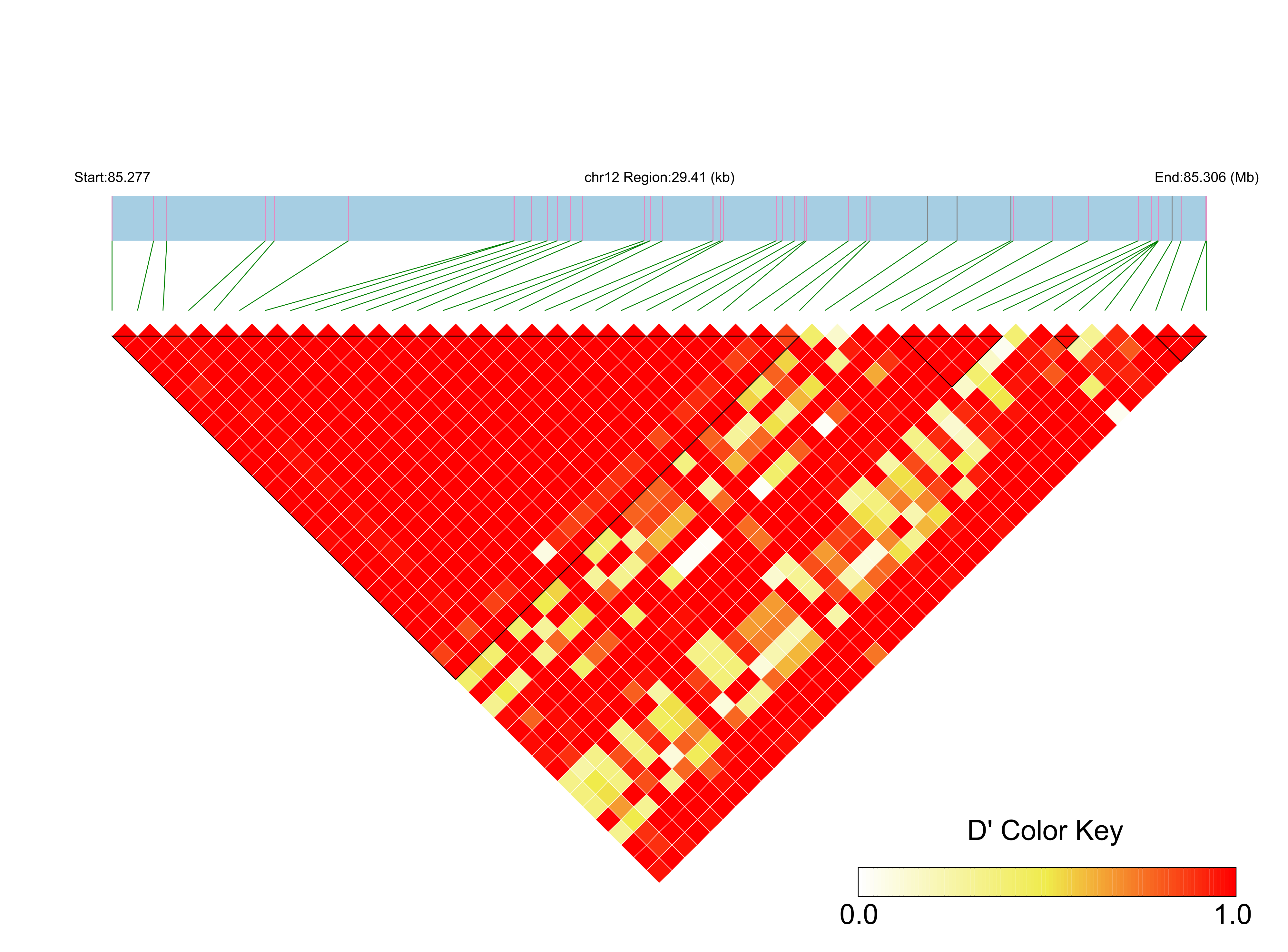 LD