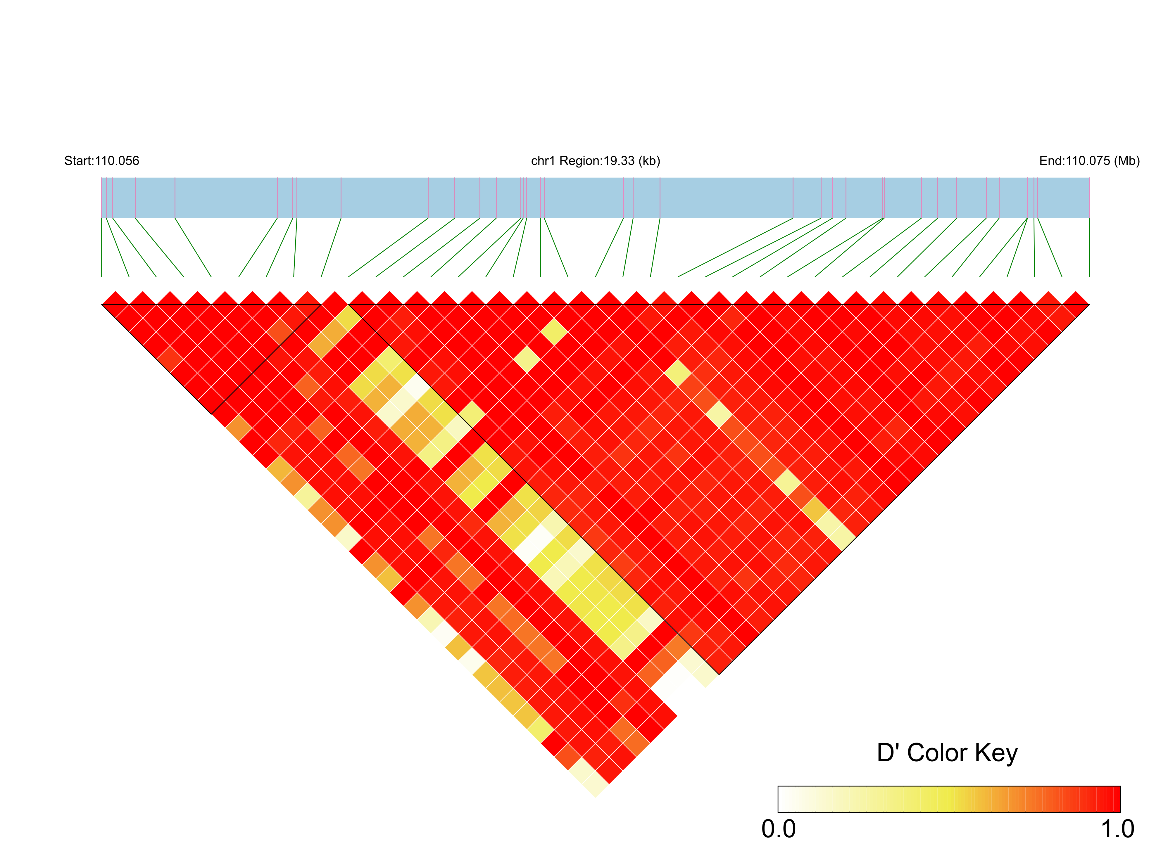 LD