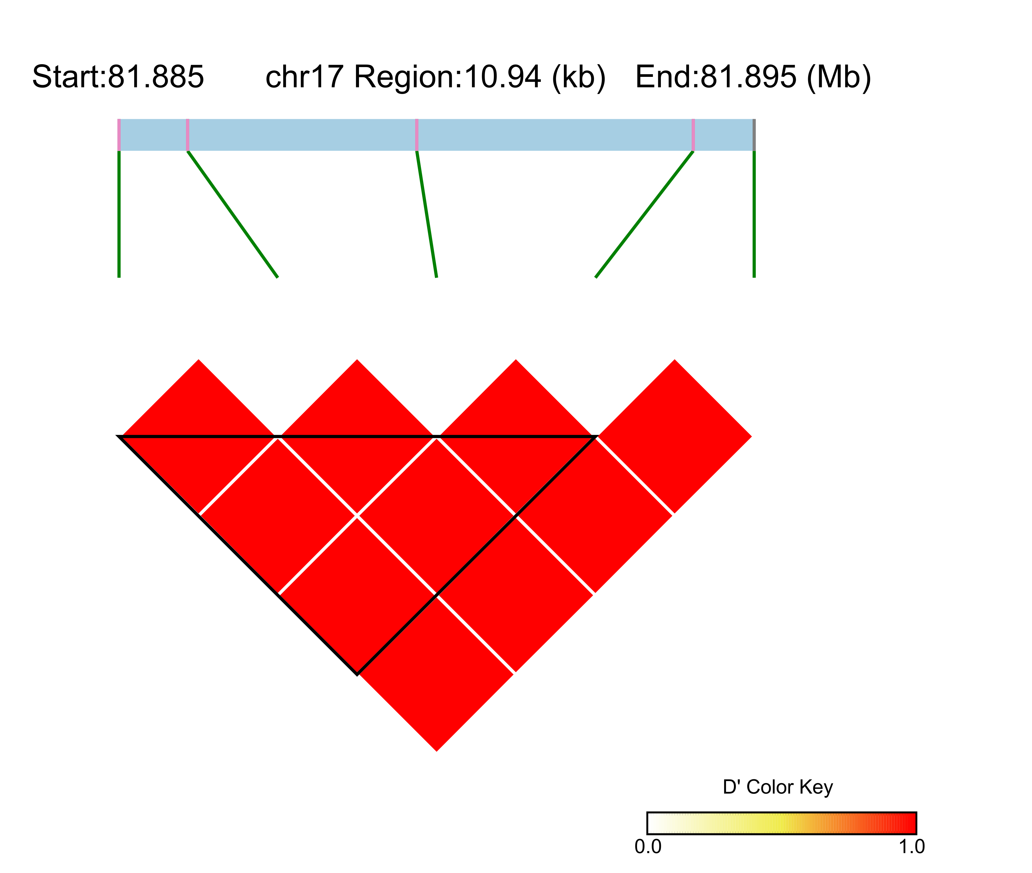 LD