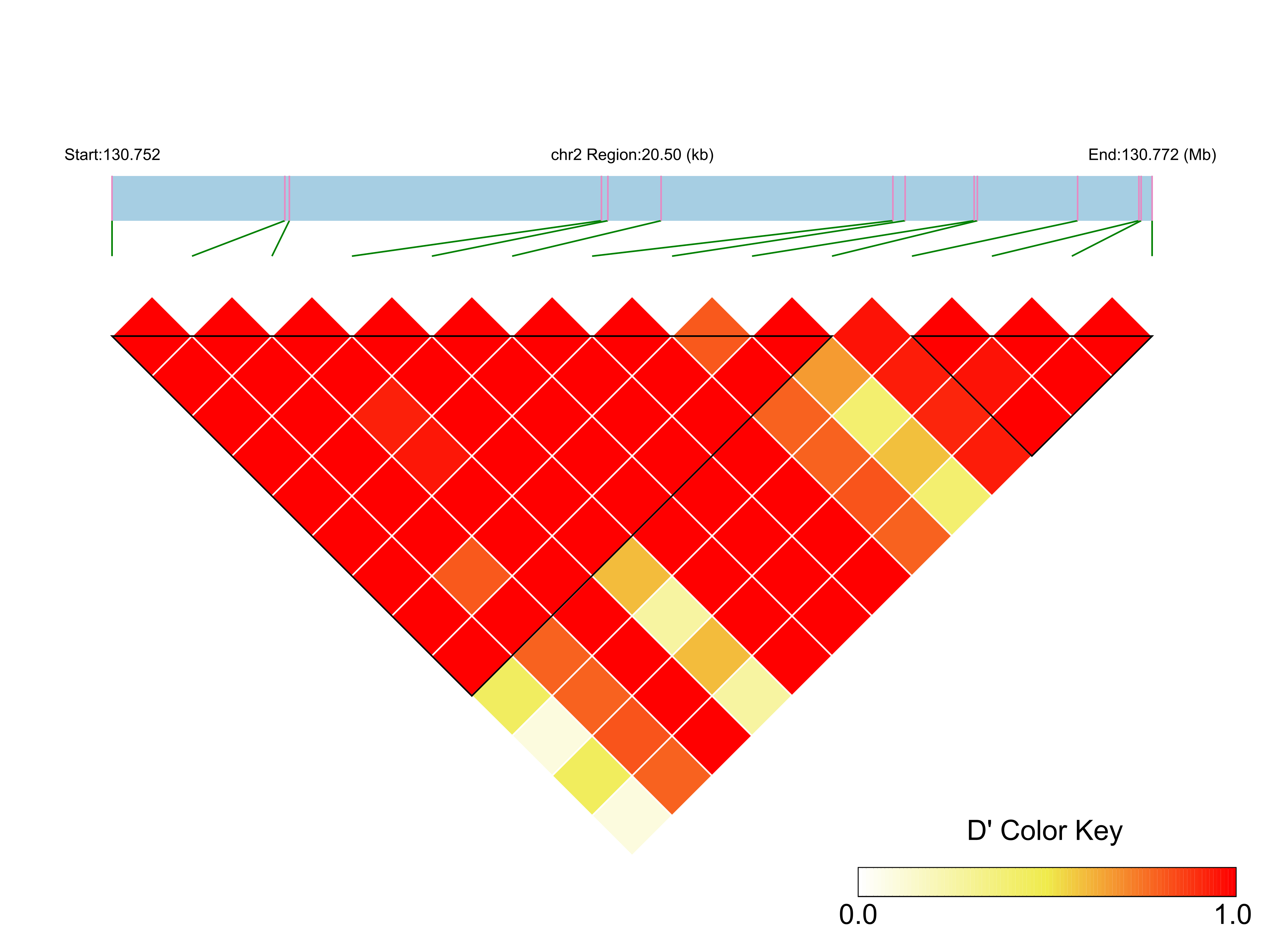 LD